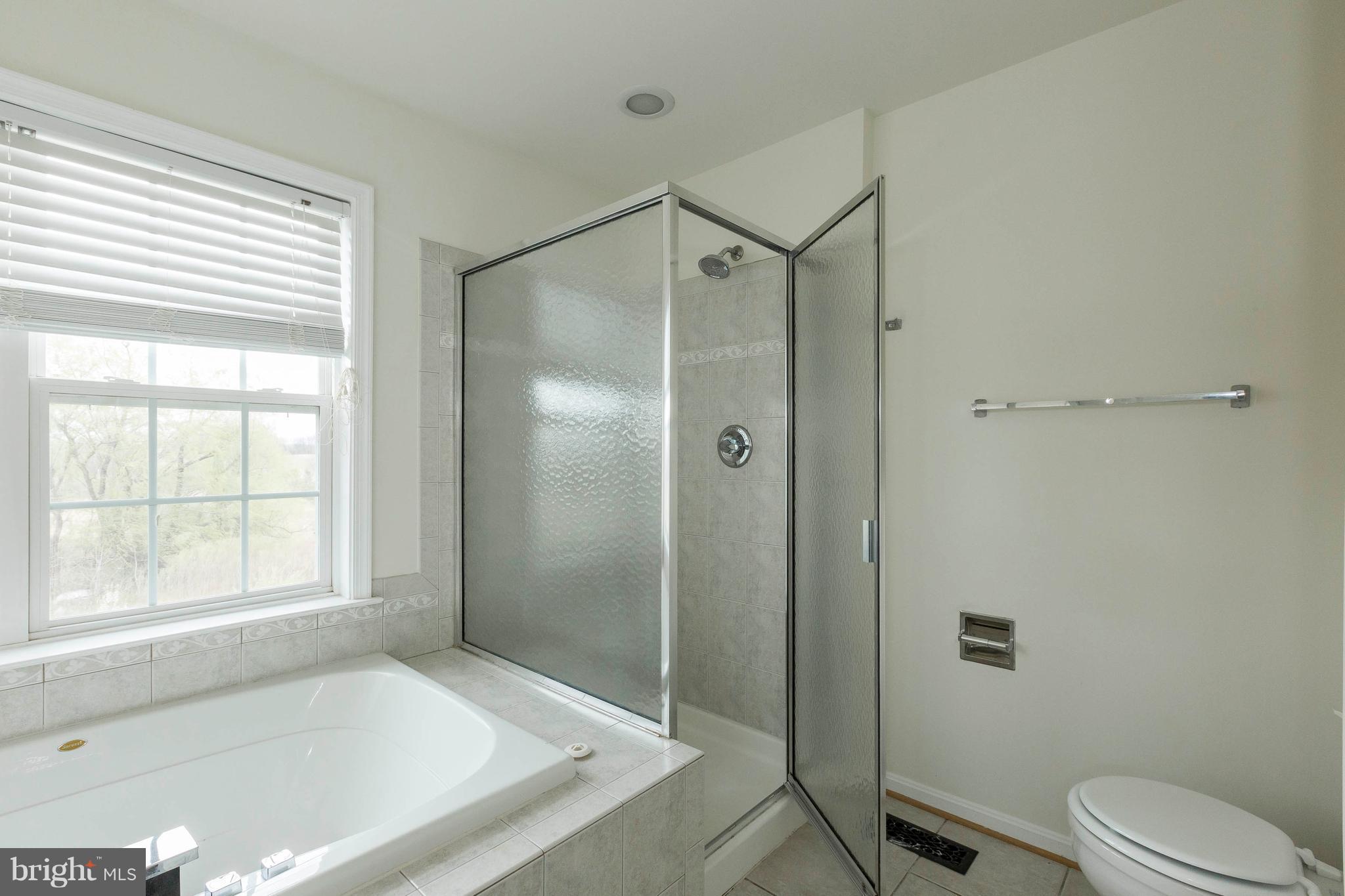 204 Timber View Court Frederick, MD 21702 - Photo 18 of 28 Separate shower