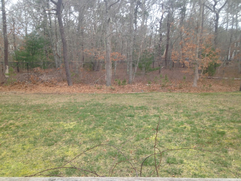 65 John Ewer Road Sandwich, MA 02563 - Photo 15 of 15 Gallery Image 15