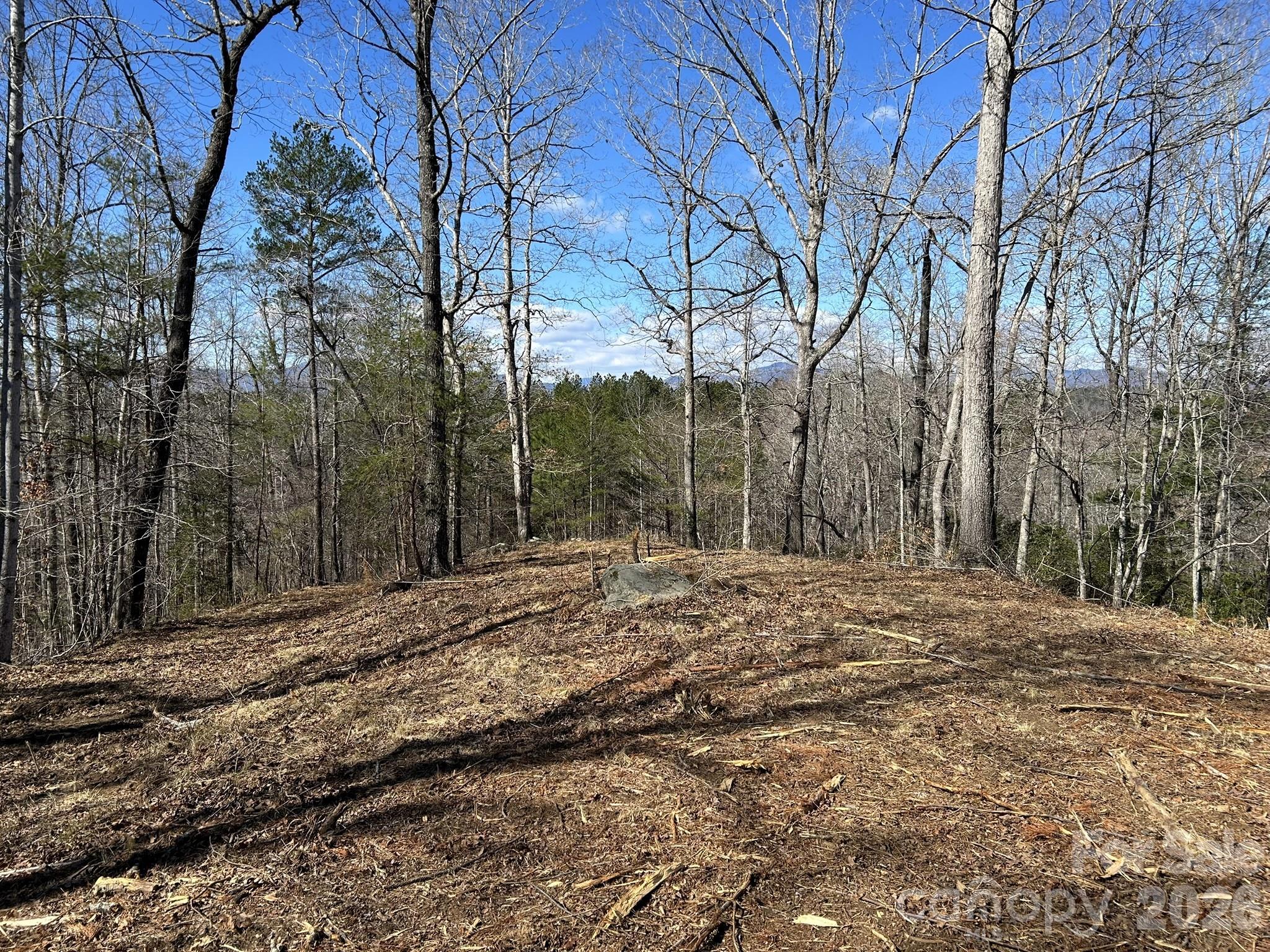 0 Millcreek Way Rutherfordton, NC 28139 - Photo 1 of 32 a view of a backyard with large trees