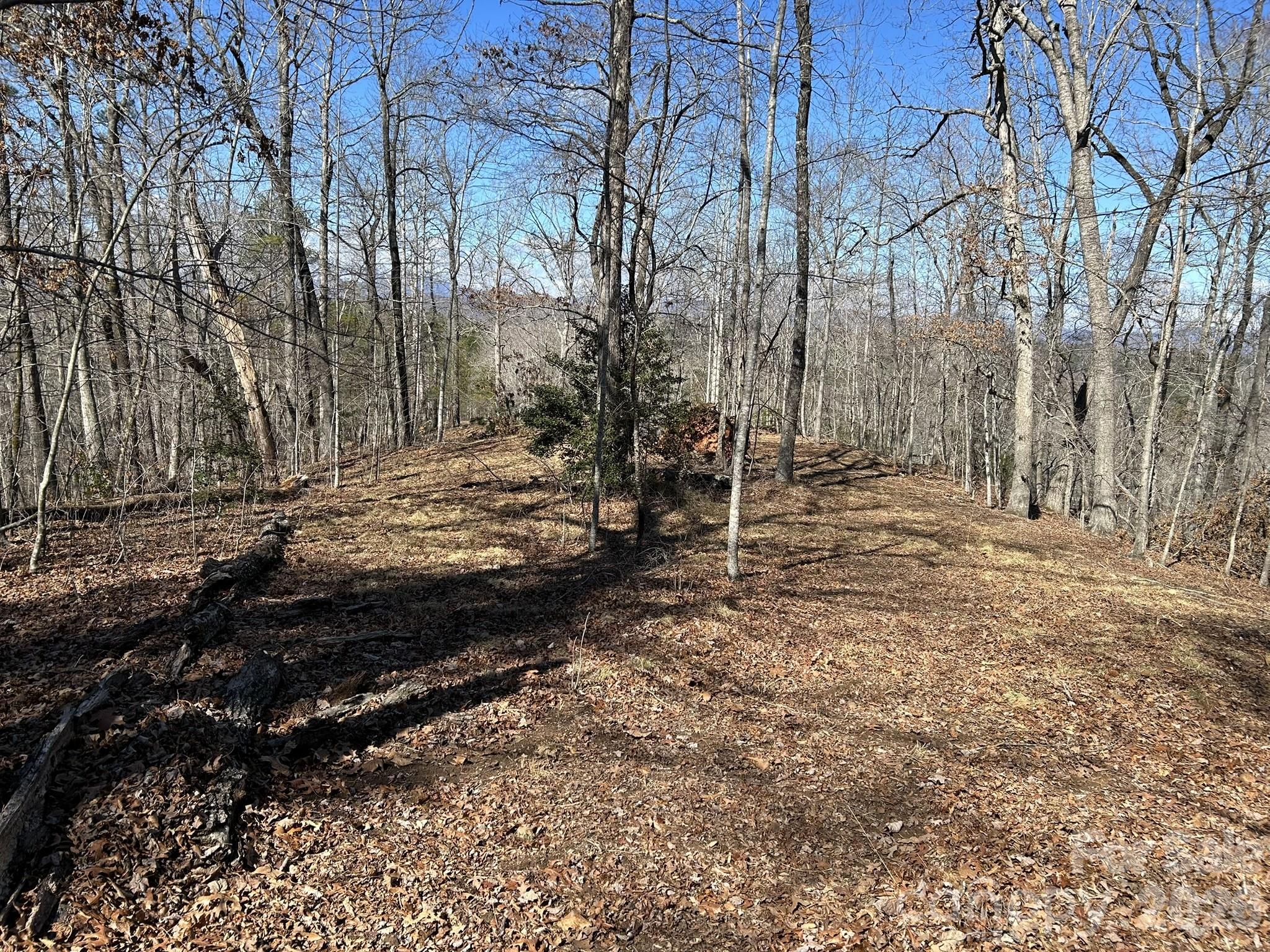 0 Millcreek Way Rutherfordton, NC 28139 - Photo 11 of 32 a view of a yard with trees