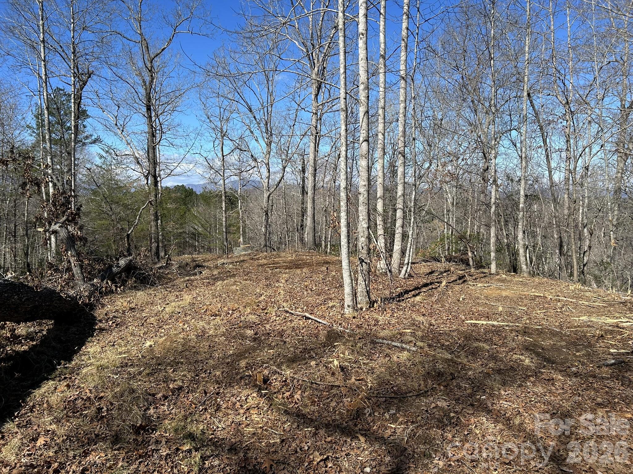 0 Millcreek Way Rutherfordton, NC 28139 - Photo 12 of 32 a view of a backyard with large trees