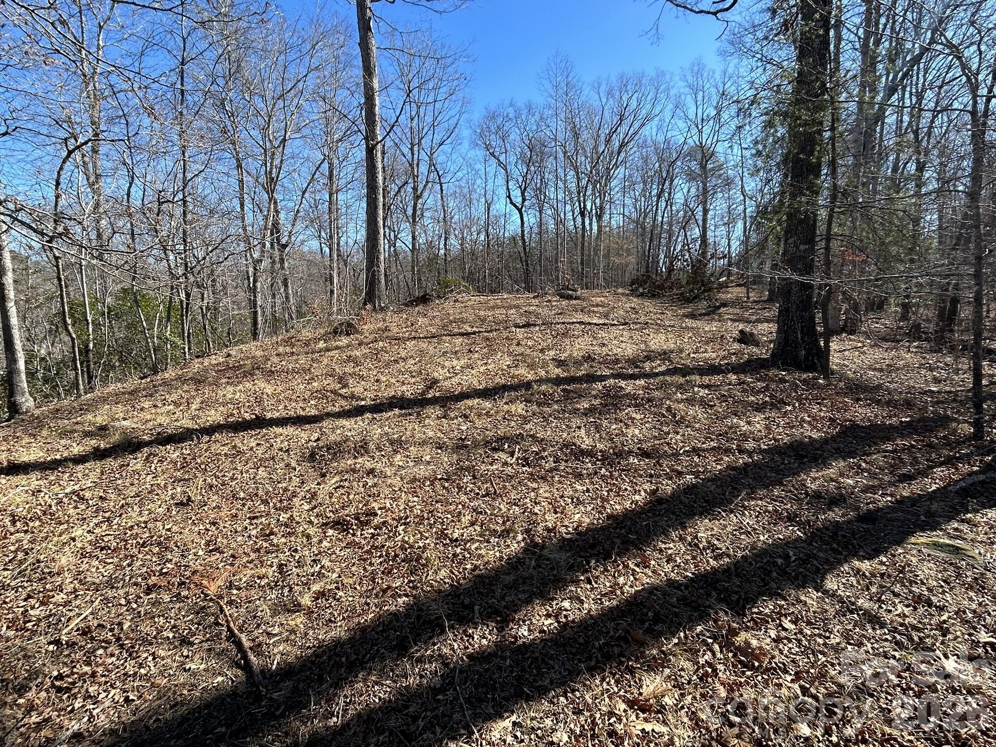 0 Millcreek Way Rutherfordton, NC 28139 - Photo 13 of 32 a view of snow on a yard
