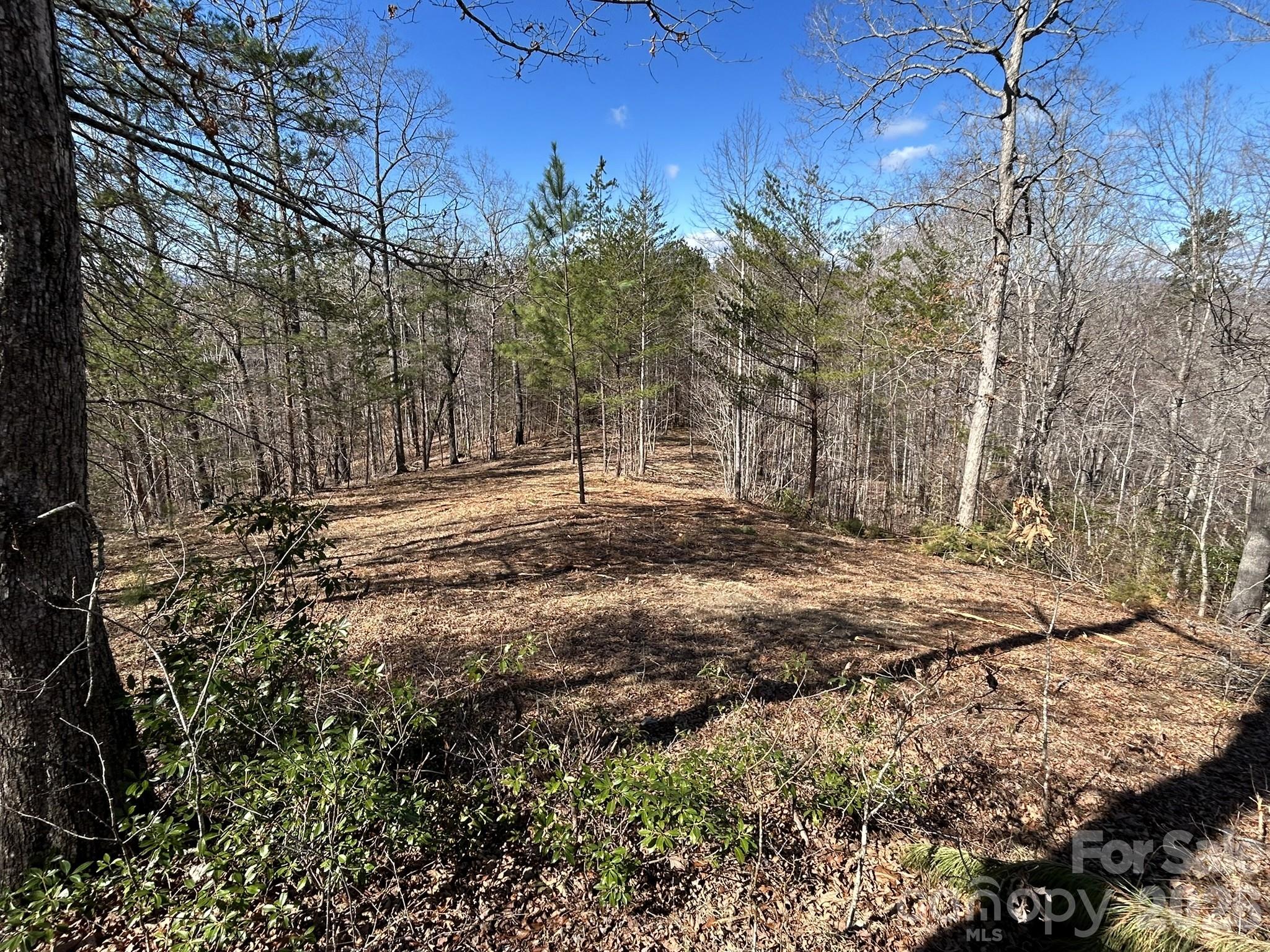 0 Millcreek Way Rutherfordton, NC 28139 - Photo 14 of 32 a backyard of a house with lots of green space
