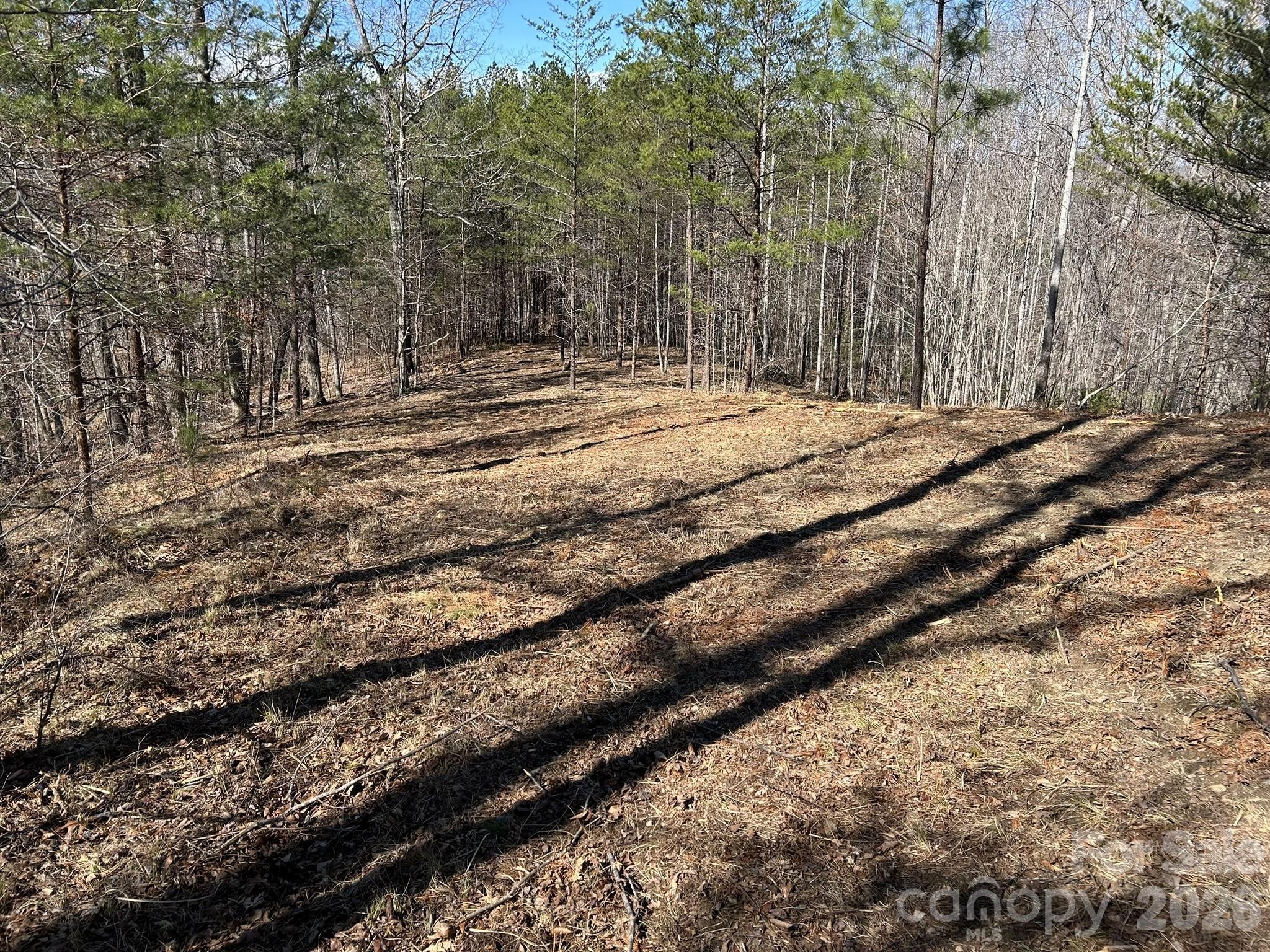 0 Millcreek Way Rutherfordton, NC 28139 - Photo 15 of 32 a view of outdoor space with wooden fence