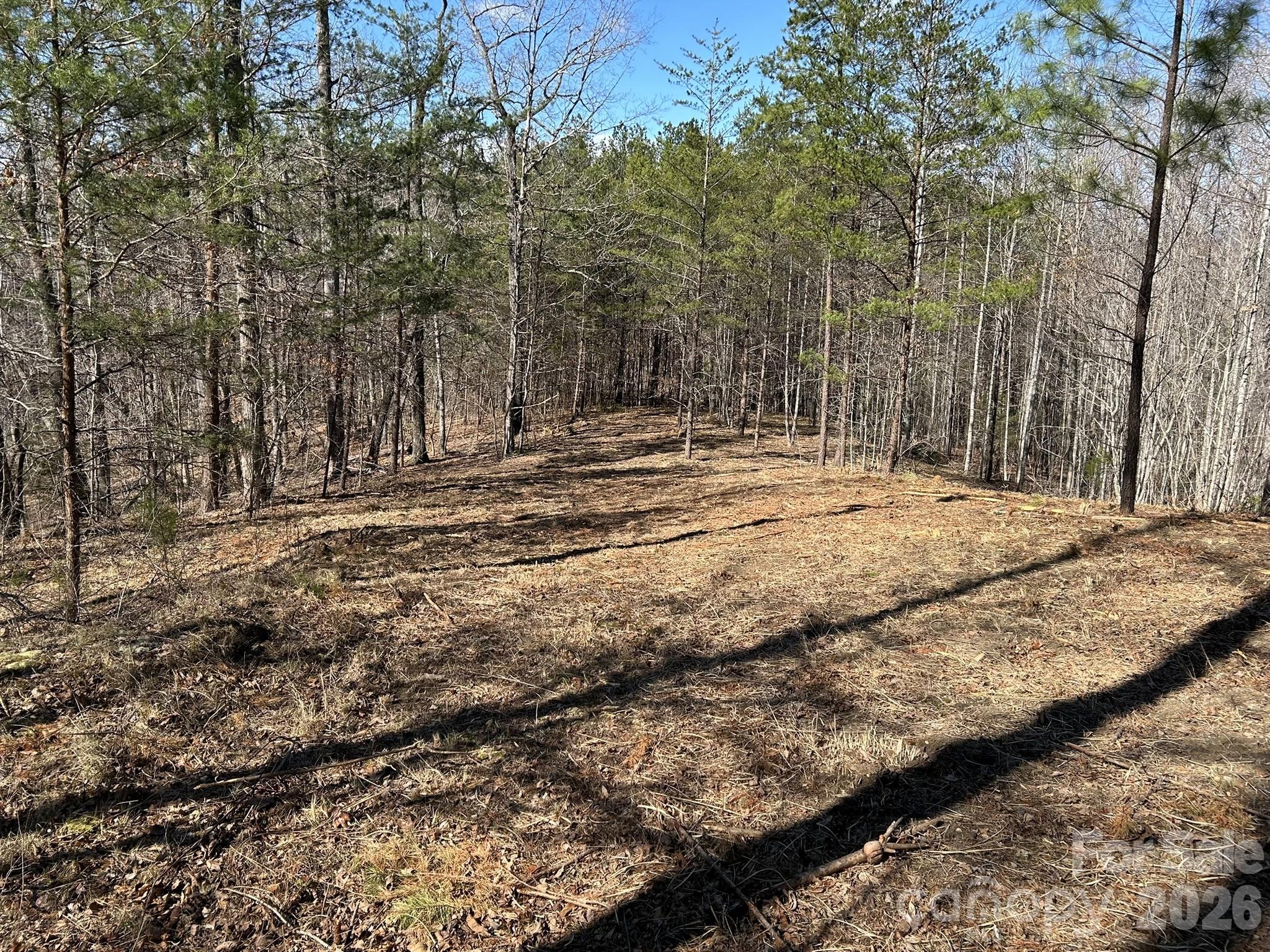 0 Millcreek Way Rutherfordton, NC 28139 - Photo 17 of 32 a view of a yard with large trees