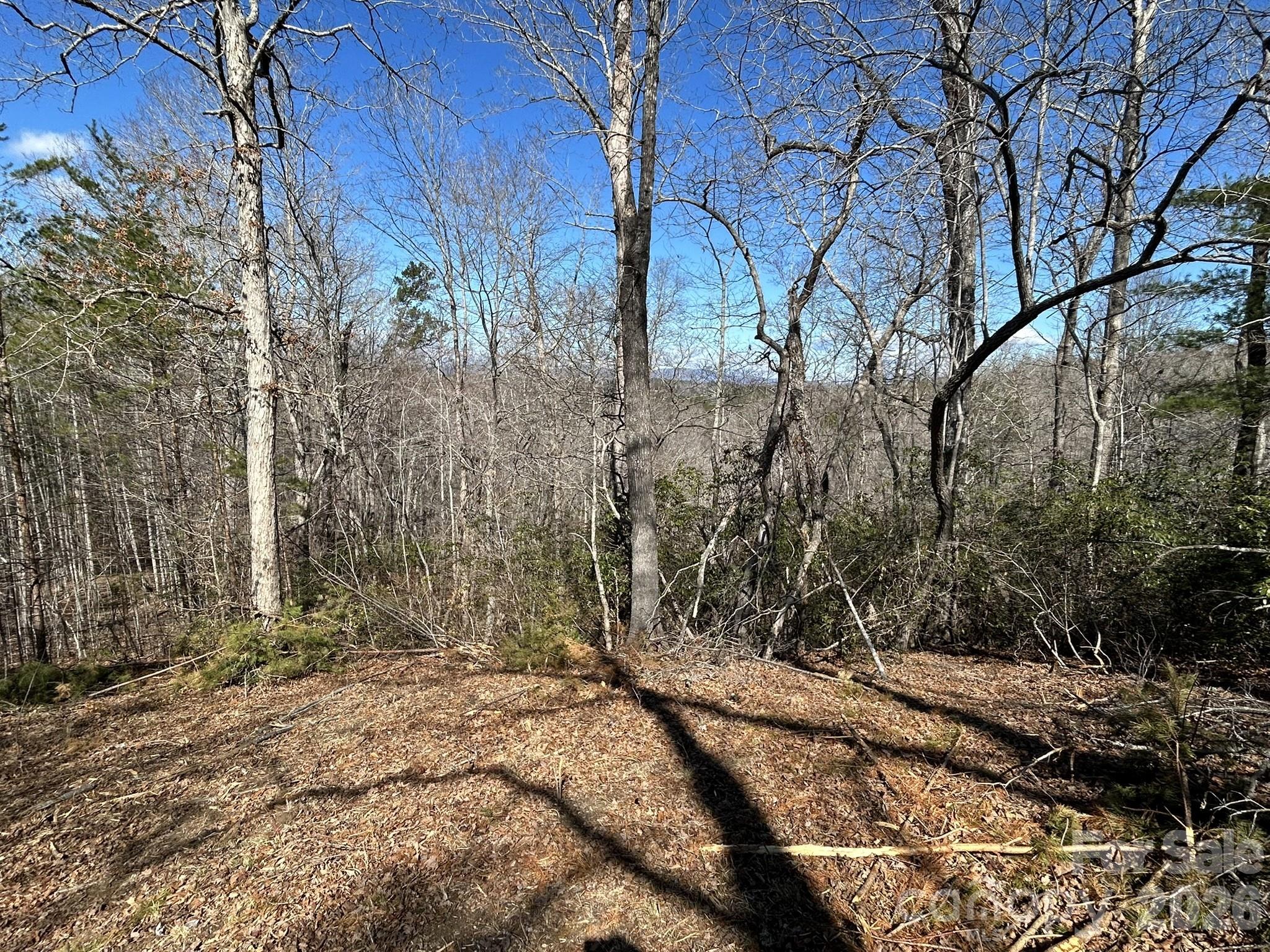 0 Millcreek Way Rutherfordton, NC 28139 - Photo 18 of 32 a backyard of a house