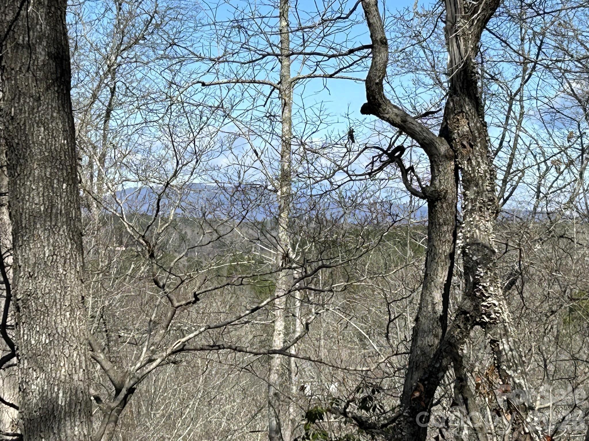 0 Millcreek Way Rutherfordton, NC 28139 - Photo 19 of 32 a backyard of a house with lots of green space