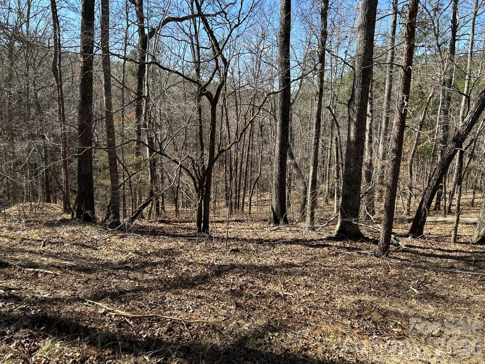 0 Millcreek Way Rutherfordton, NC 28139 - Photo 20 of 32 a backyard of a house with lots of green space