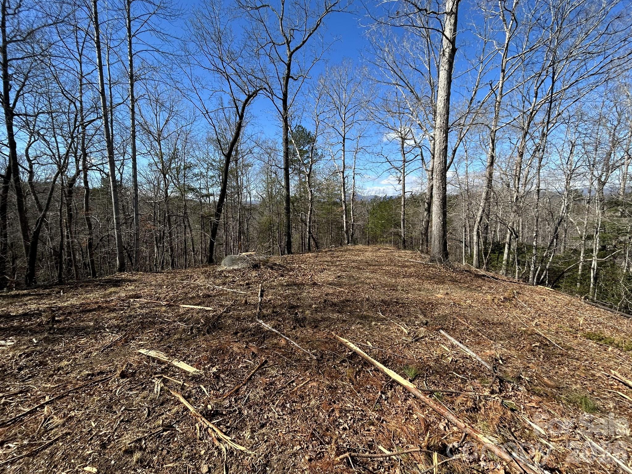 0 Millcreek Way Rutherfordton, NC 28139 - Photo 2 of 32 a backyard of a house with large trees