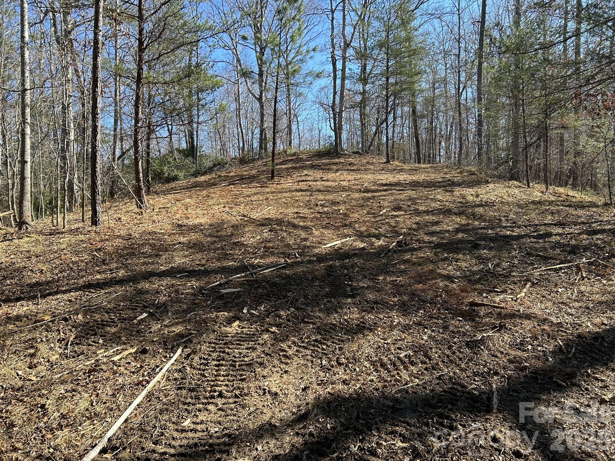 0 Millcreek Way Rutherfordton, NC 28139 - Photo 21 of 32 a fire hydrant in the middle of a yard
