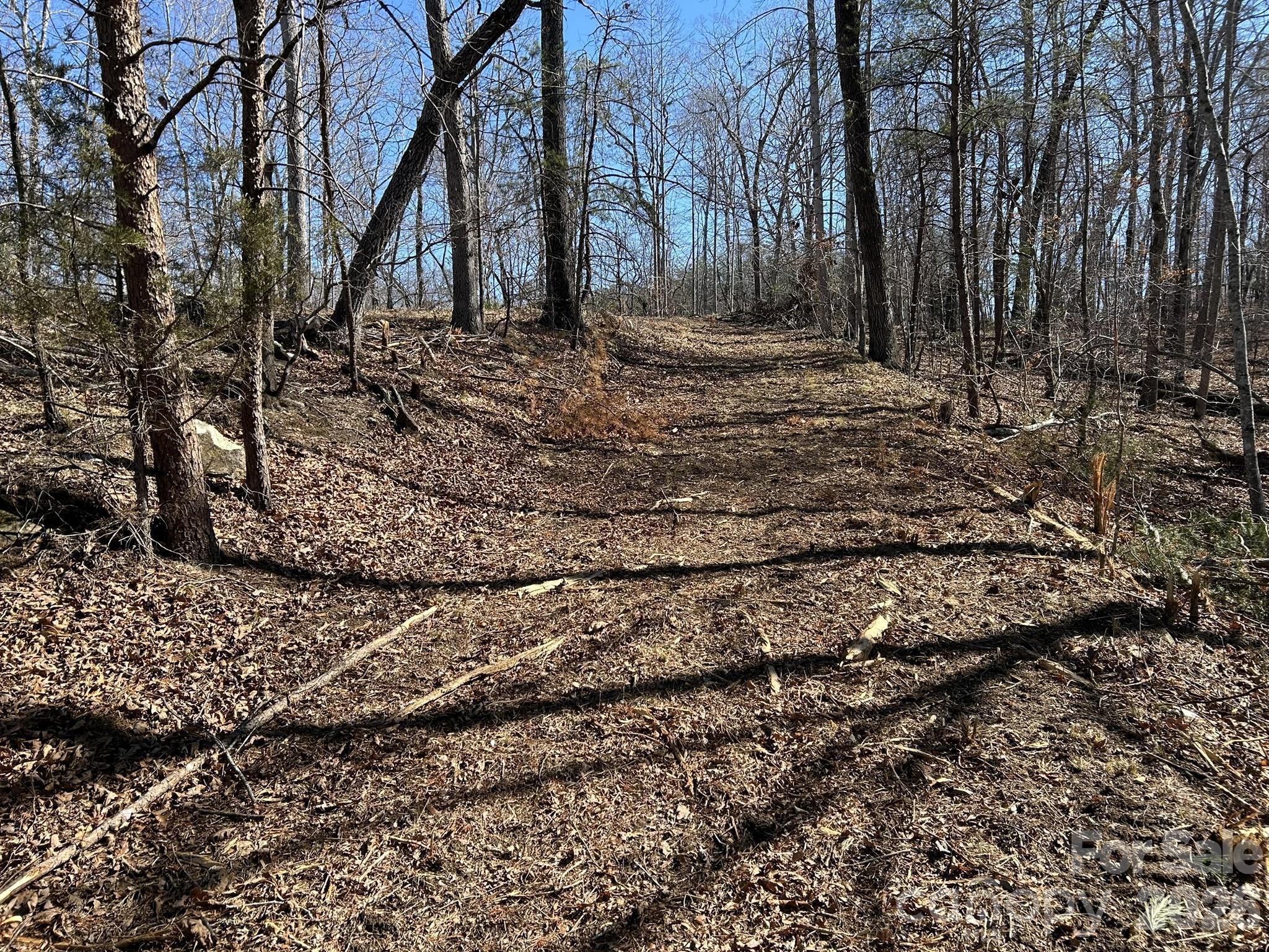 0 Millcreek Way Rutherfordton, NC 28139 - Photo 22 of 32 a view of a yard with trees