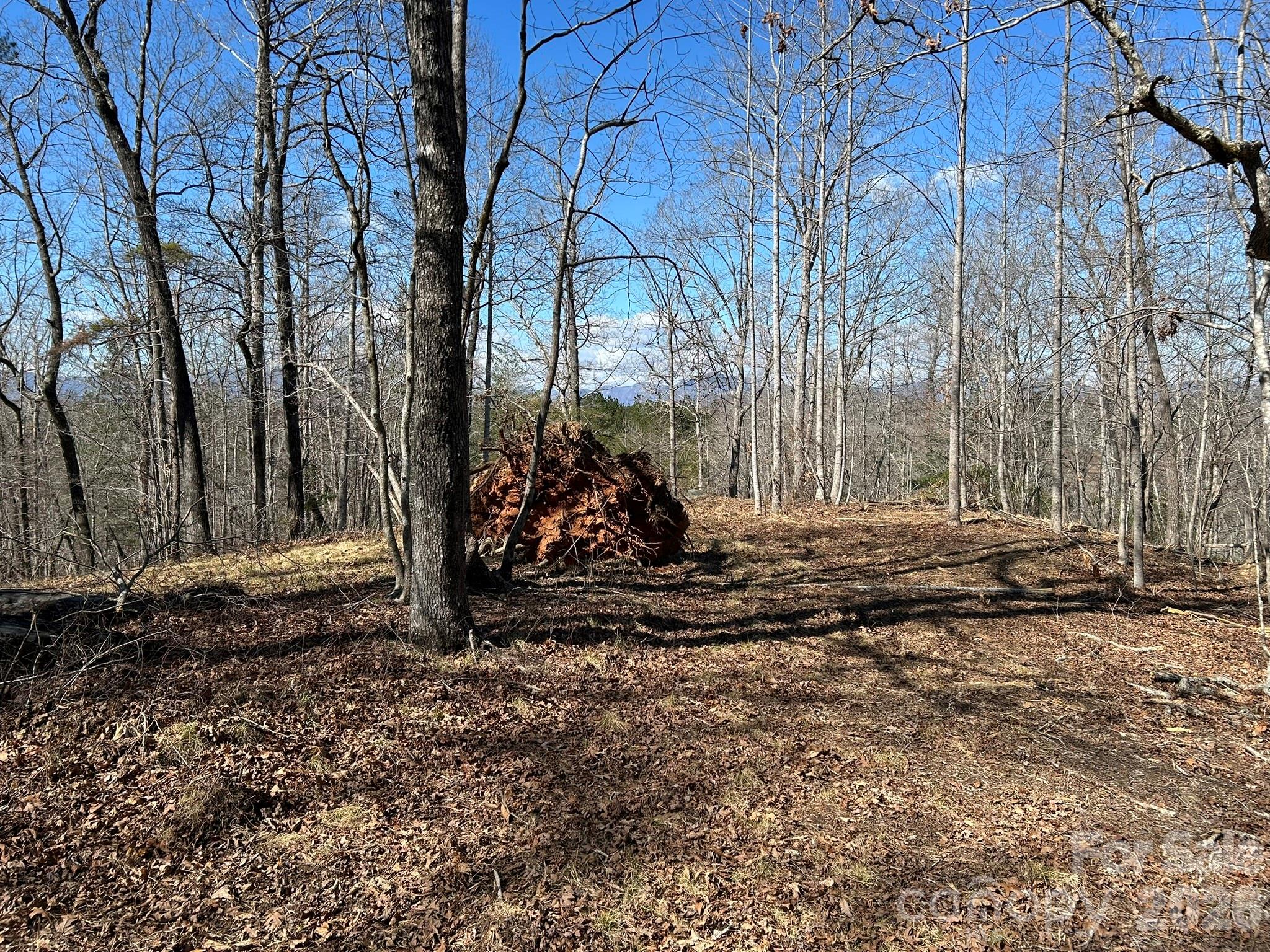 0 Millcreek Way Rutherfordton, NC 28139 - Photo 23 of 32 a view of a backyard with large trees