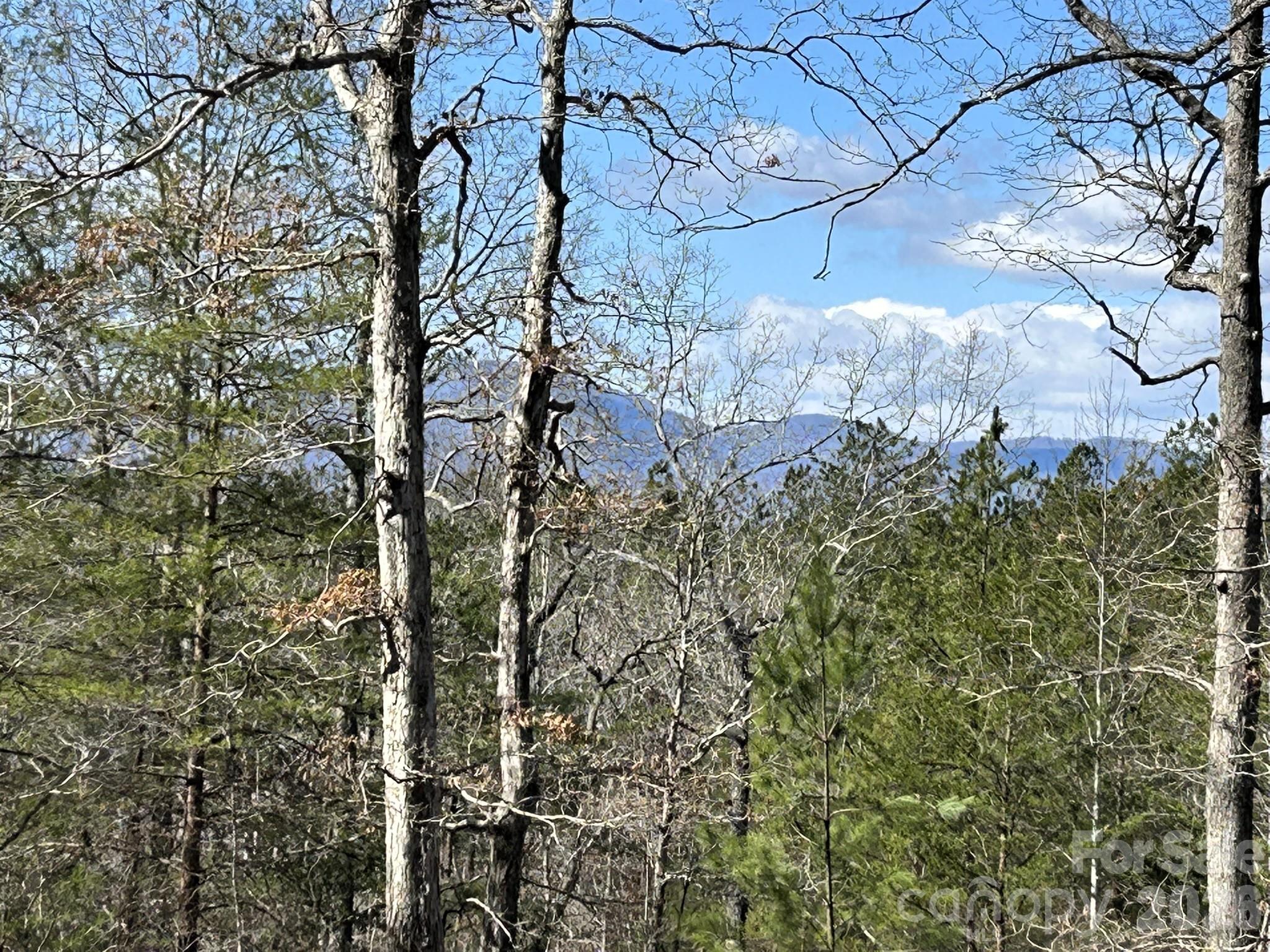 0 Millcreek Way Rutherfordton, NC 28139 - Photo 24 of 32 a view of a yard with plants and trees