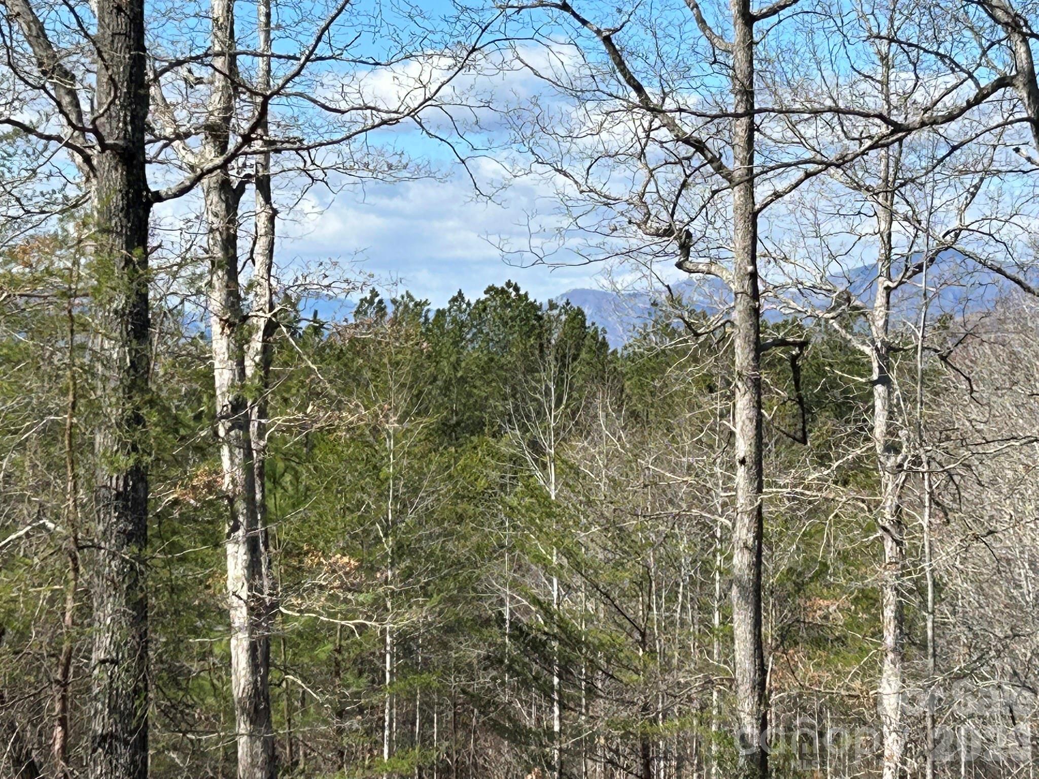 0 Millcreek Way Rutherfordton, NC 28139 - Photo 25 of 32 a view of a forest with a tree