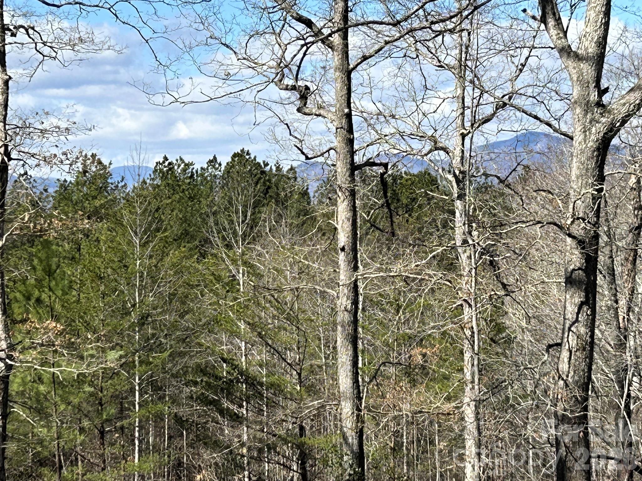 0 Millcreek Way Rutherfordton, NC 28139 - Photo 26 of 32 a view of a yard