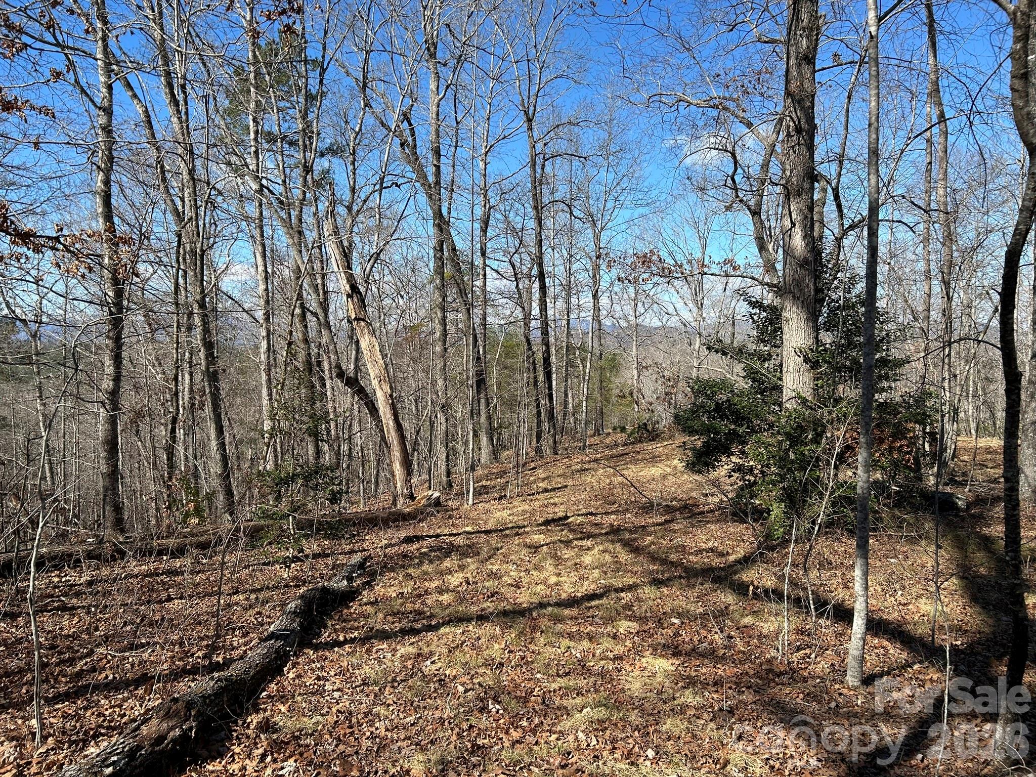 0 Millcreek Way Rutherfordton, NC 28139 - Photo 28 of 32 a view of a yard with trees