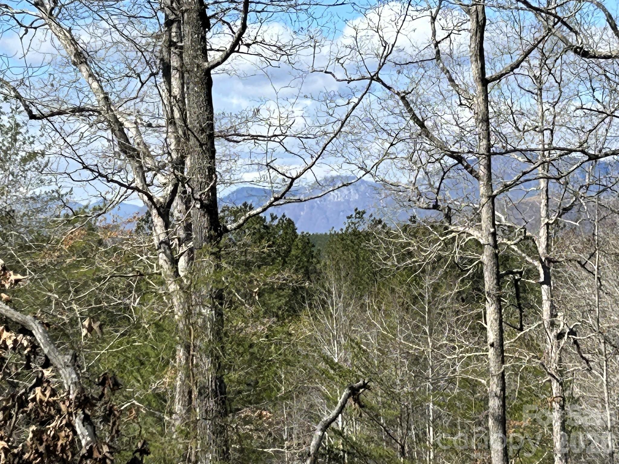 0 Millcreek Way Rutherfordton, NC 28139 - Photo 3 of 32 a view of a yard