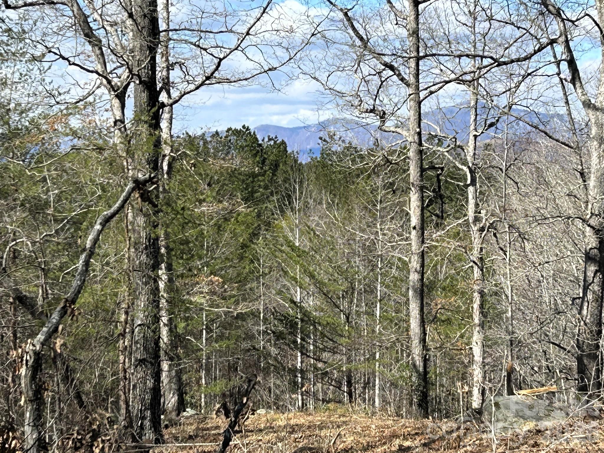 0 Millcreek Way Rutherfordton, NC 28139 - Photo 4 of 32 a view of a yard