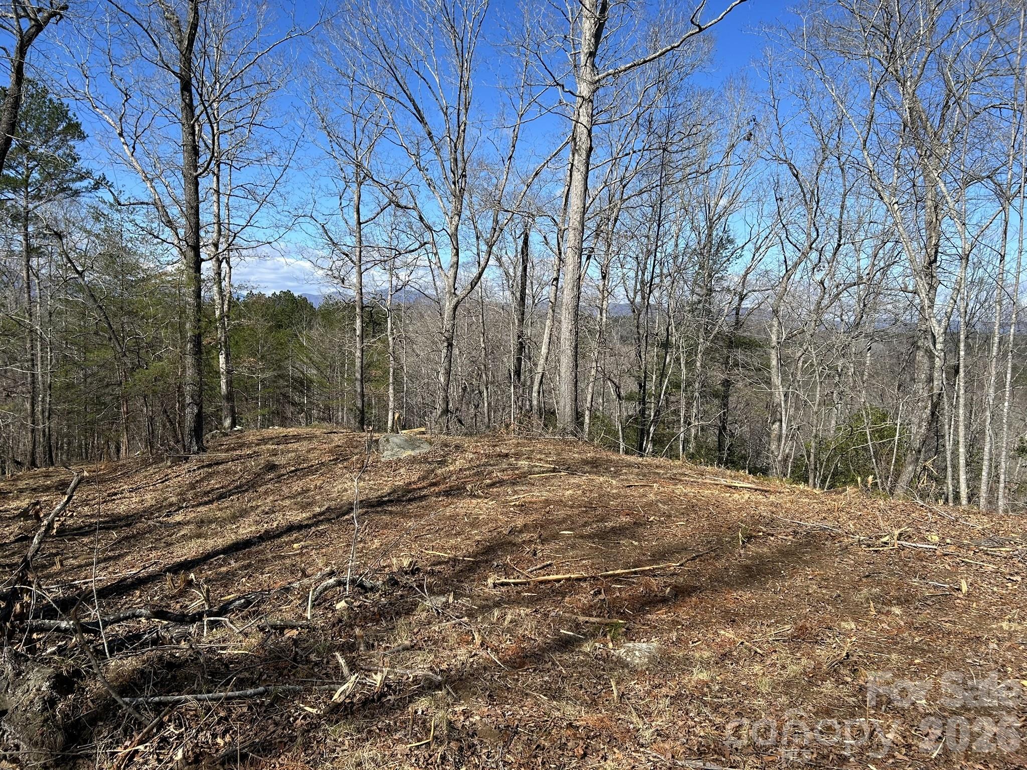 0 Millcreek Way Rutherfordton, NC 28139 - Photo 5 of 32 a view of a yard with trees on both side of house
