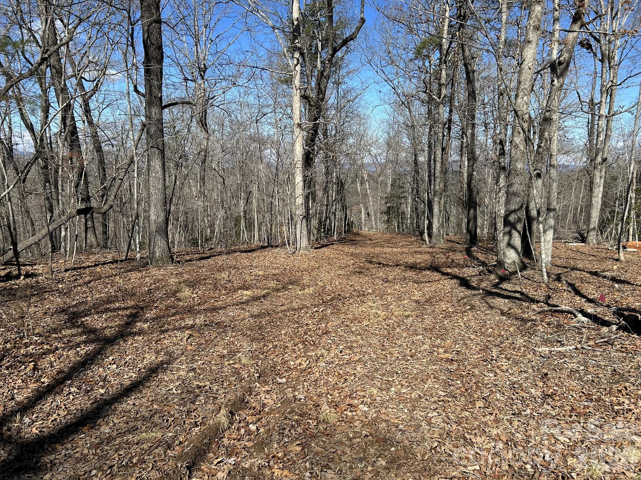0 Millcreek Way Rutherfordton, NC 28139 - Photo 6 of 32 a view of a yard with large trees