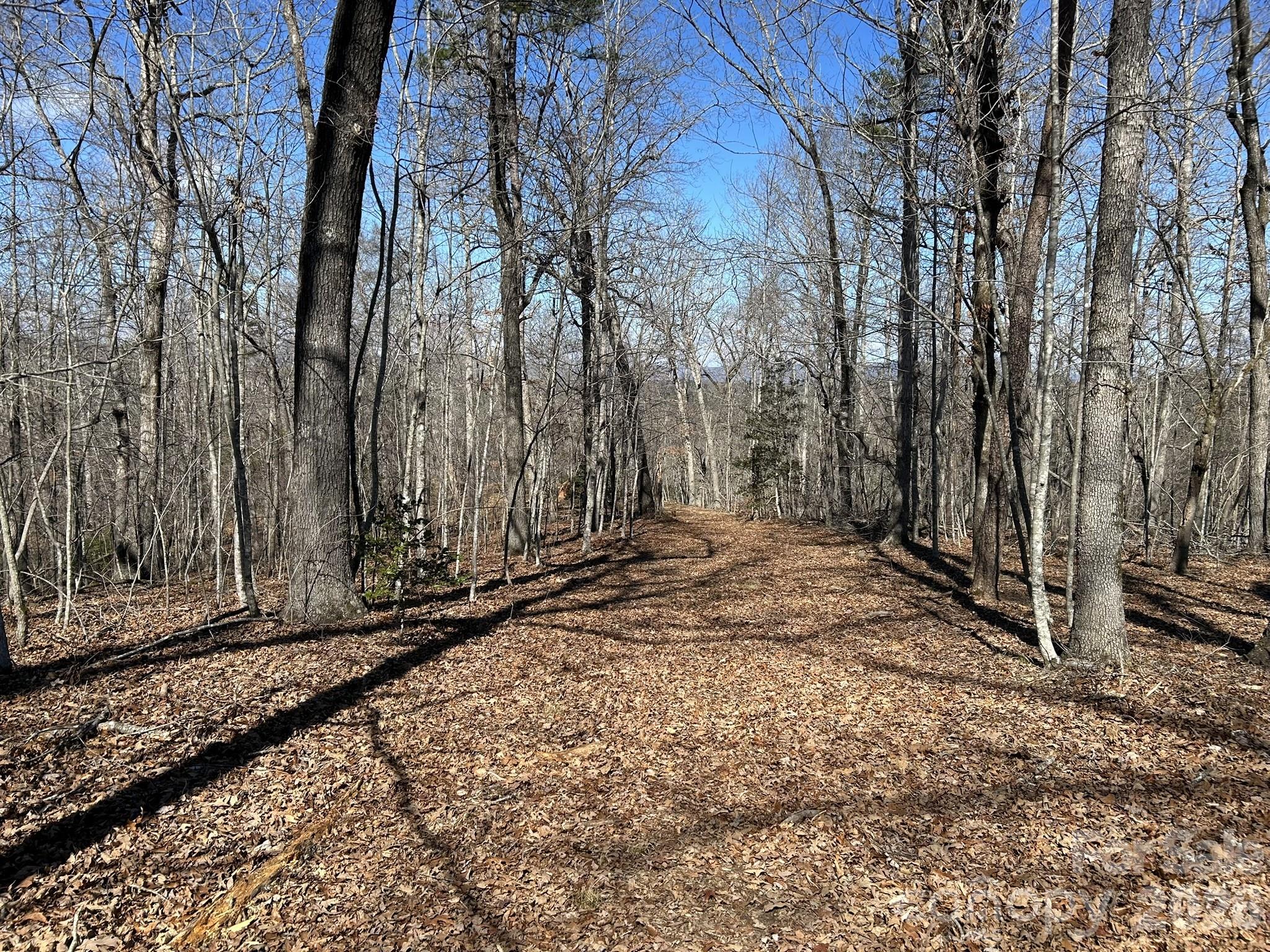 0 Millcreek Way Rutherfordton, NC 28139 - Photo 7 of 32 a view of a backyard of the house