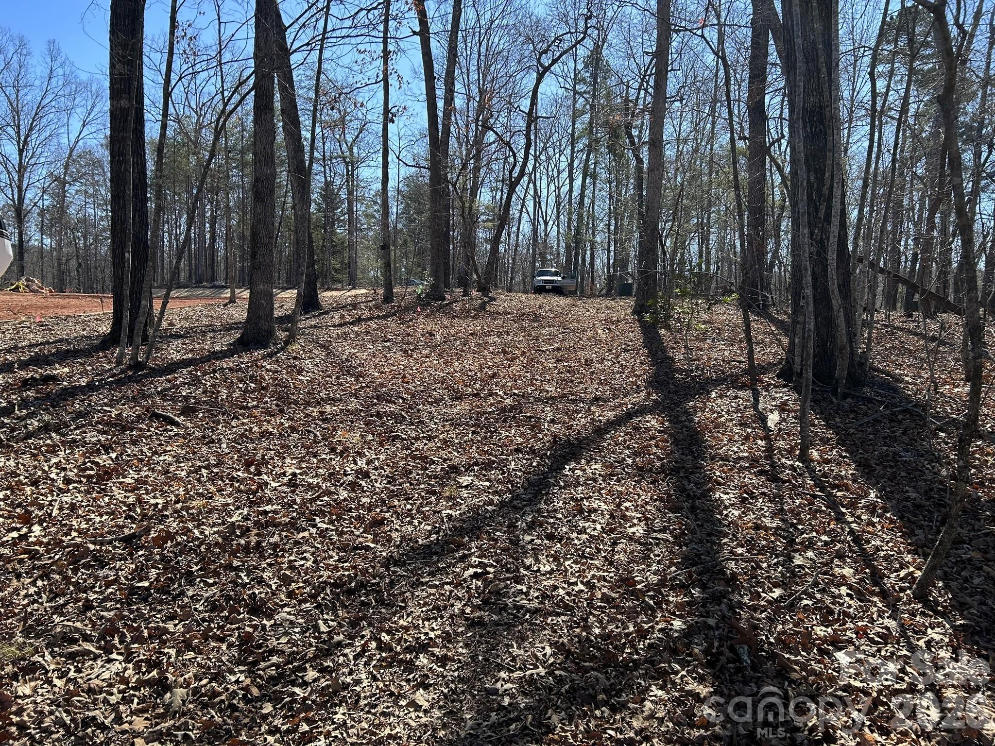 0 Millcreek Way Rutherfordton, NC 28139 - Photo 8 of 32 a view of outdoor space with lots of trees
