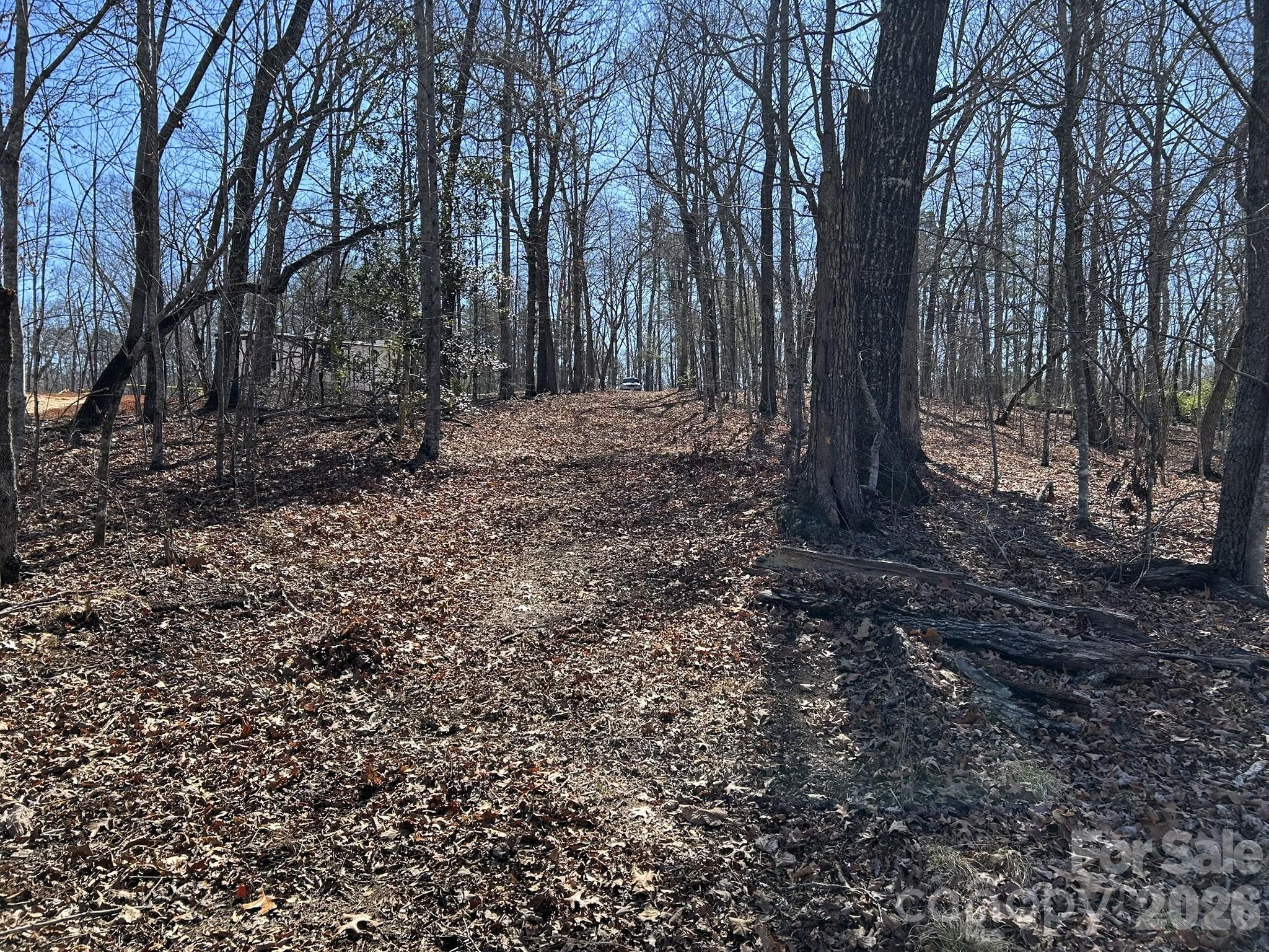 0 Millcreek Way Rutherfordton, NC 28139 - Photo 9 of 32 a view of a forest filled with trees