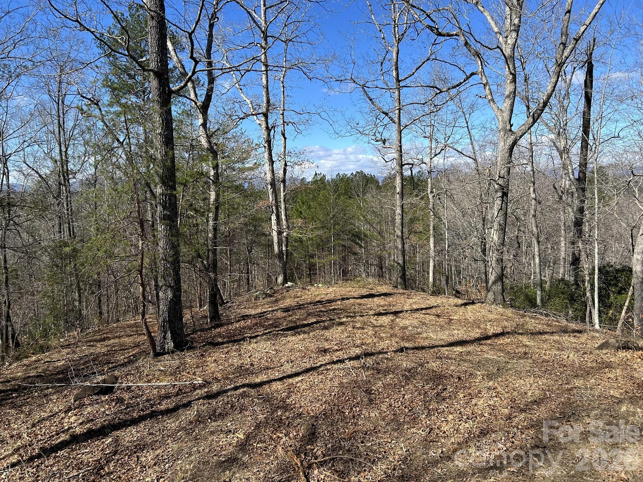 0 Millcreek Way Rutherfordton, NC 28139 - Photo 10 of 32 a backyard of a house with lots of green space