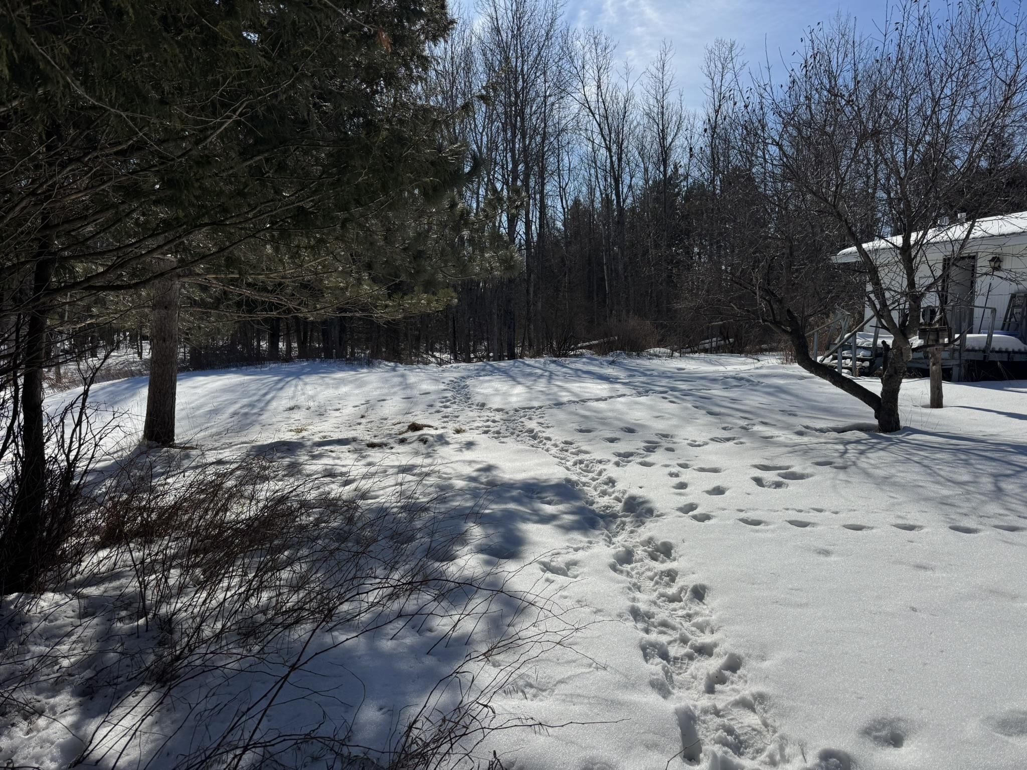 812 Old Drummond Road Two Harbors, MN 55616 - Photo 2 of 20