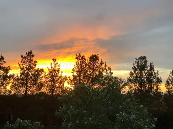 $809,000 | 1921 Las Tecovas Trail, Amarillo, TX 79124