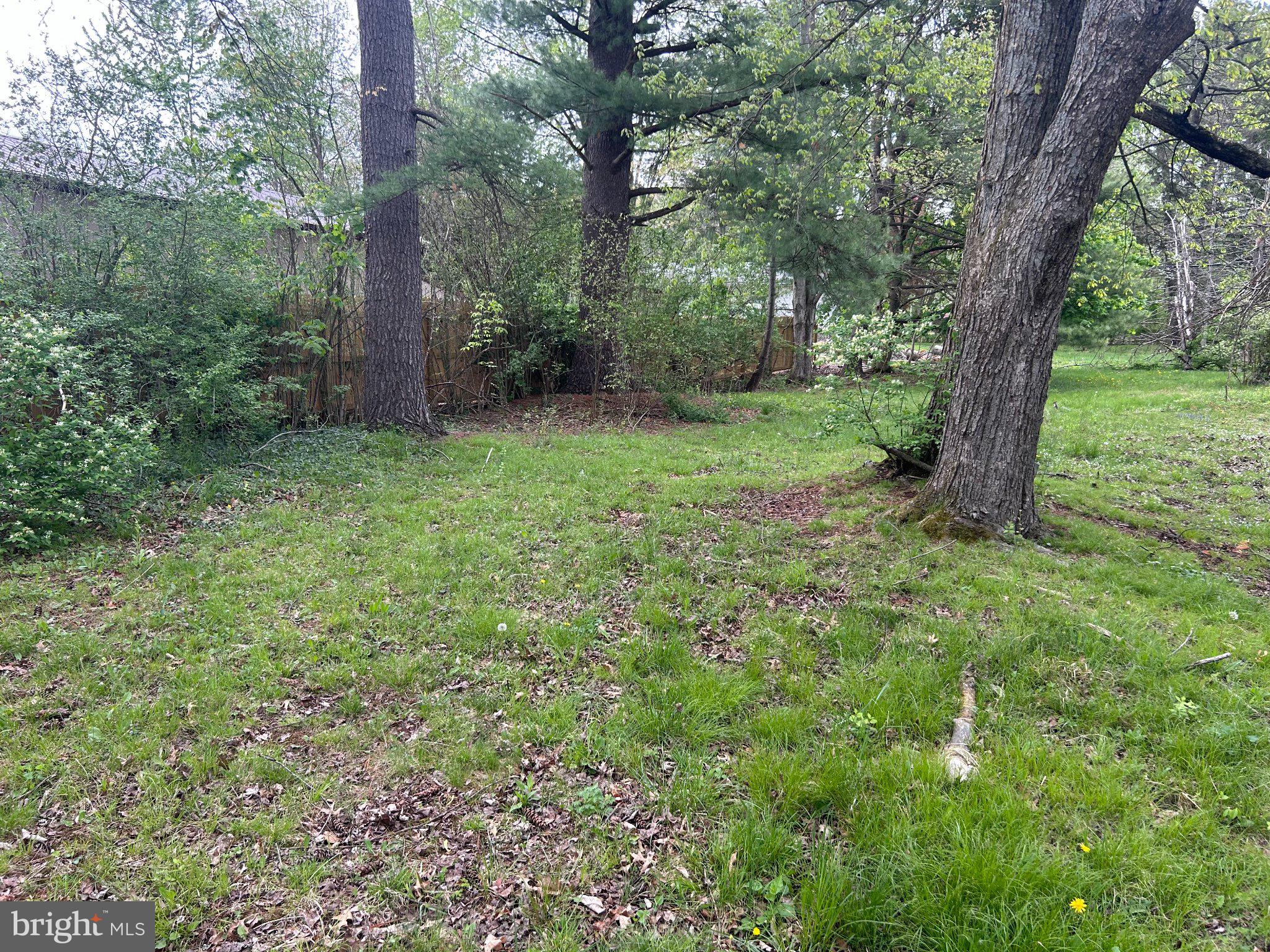 0 Laurel Road Orwigsburg, PA 17961 - Photo 8 of 10 Serene woodland retreat awaits you.