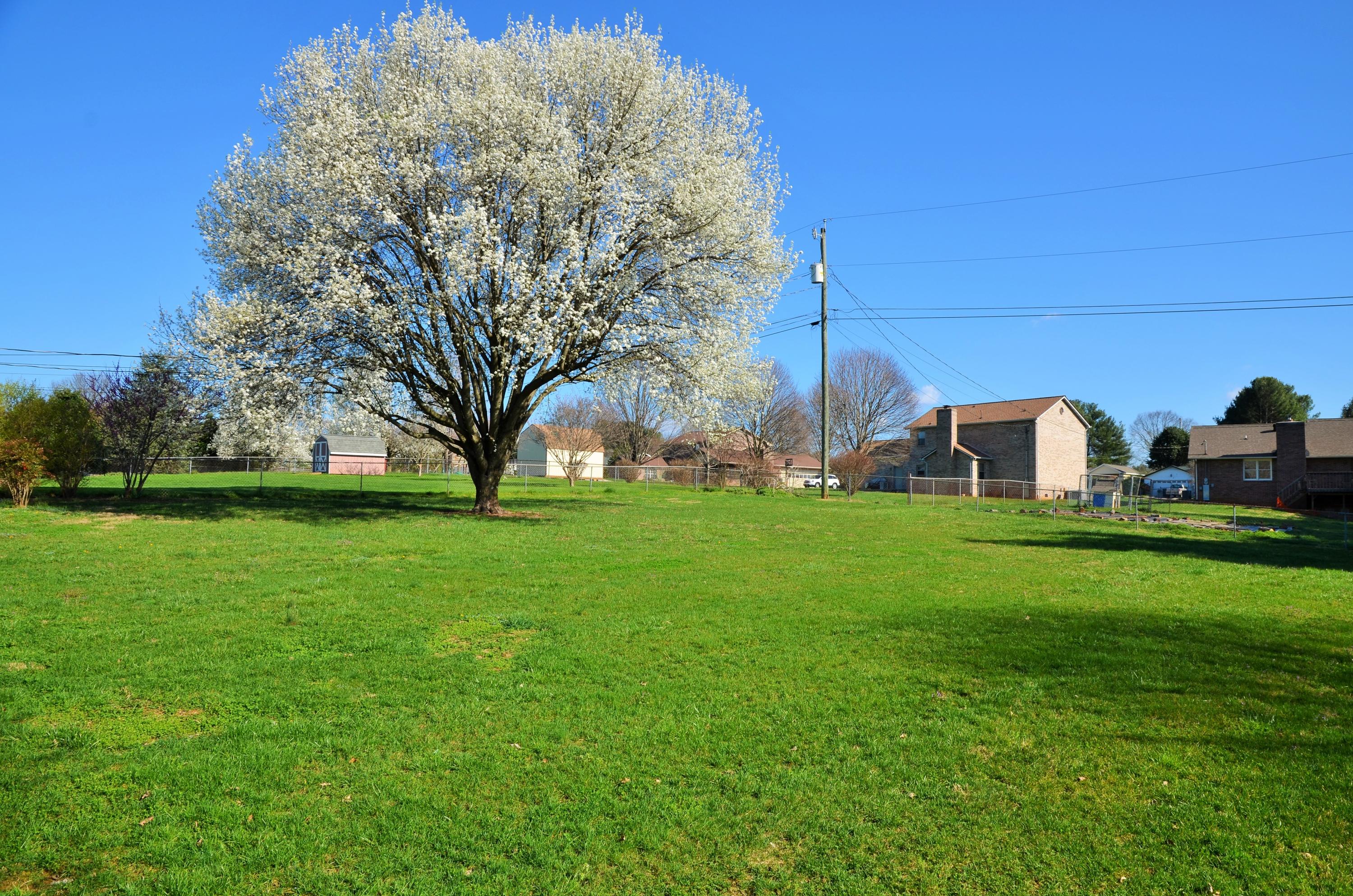 7708 Norwich Road Powell, TN 37849 - Photo 2 of 23 Backyard1
