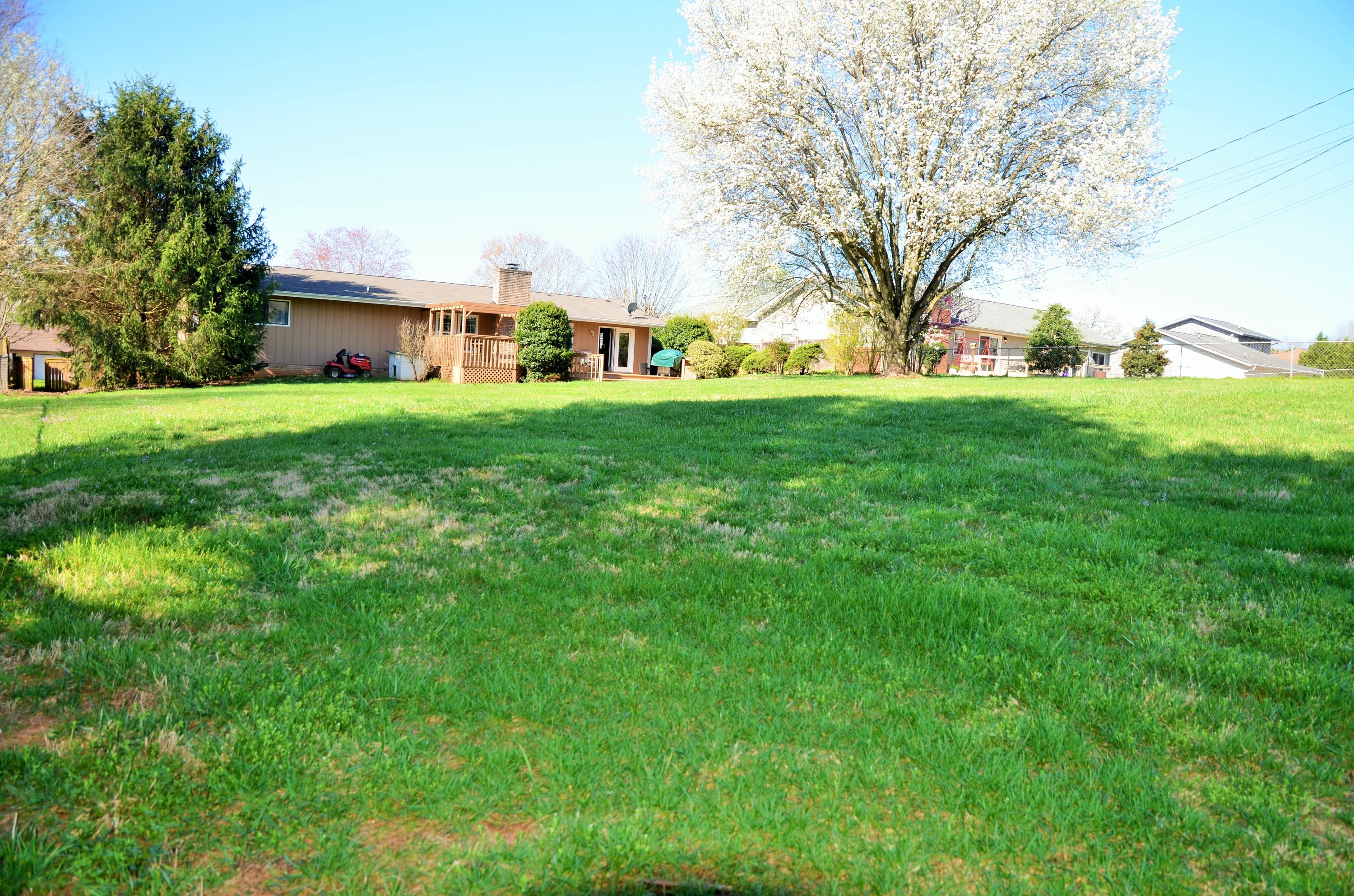 7708 Norwich Road Powell, TN 37849 - Photo 3 of 23 Backyard2
