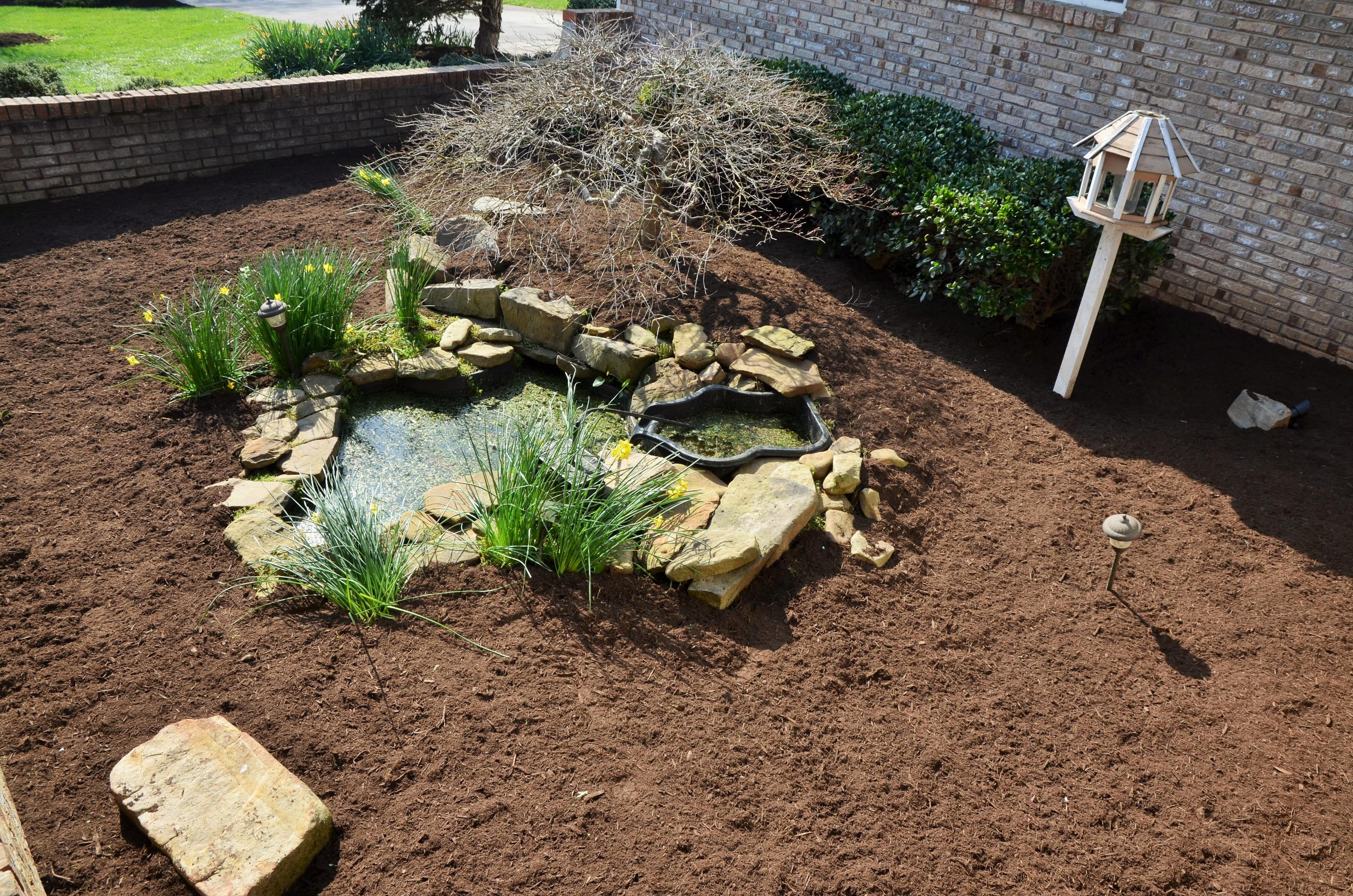 7708 Norwich Road Powell, TN 37849 - Photo 4 of 23 Koi Pond