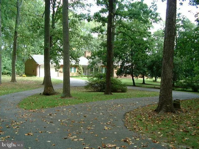 a view of a tree in the garden
