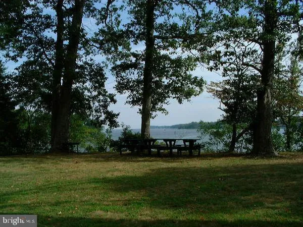 a view of backyard from a balcony