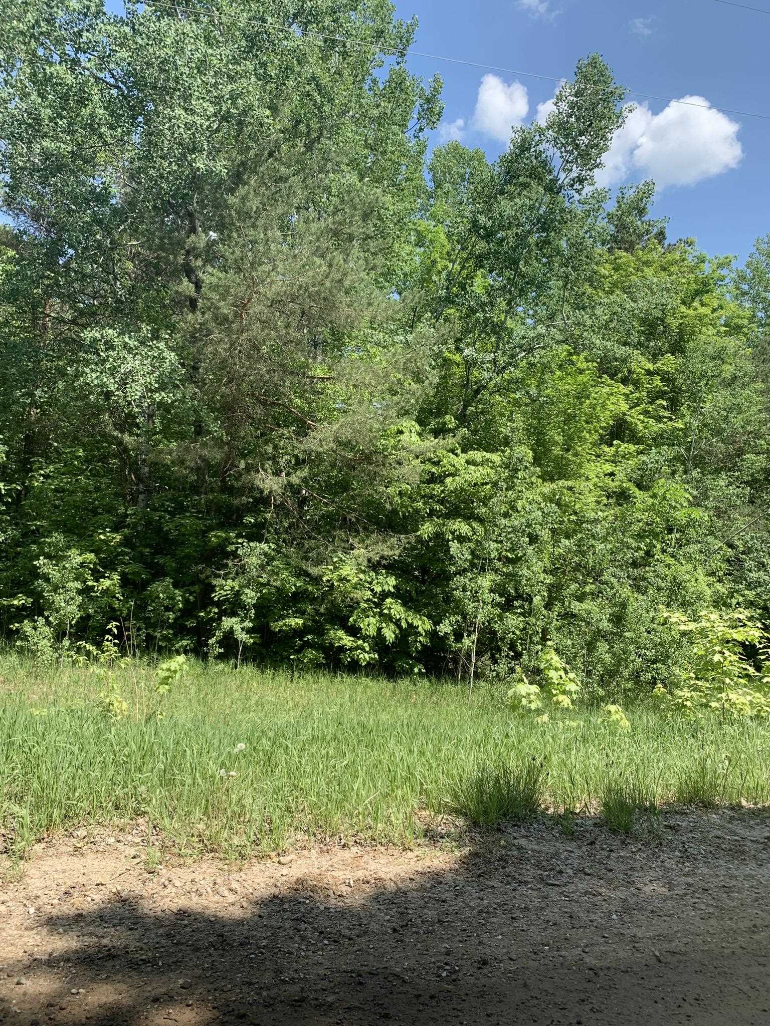 2 C Simpson Road Mancelona, MI 49659 - Photo 10 of 16 Gallery Image 10