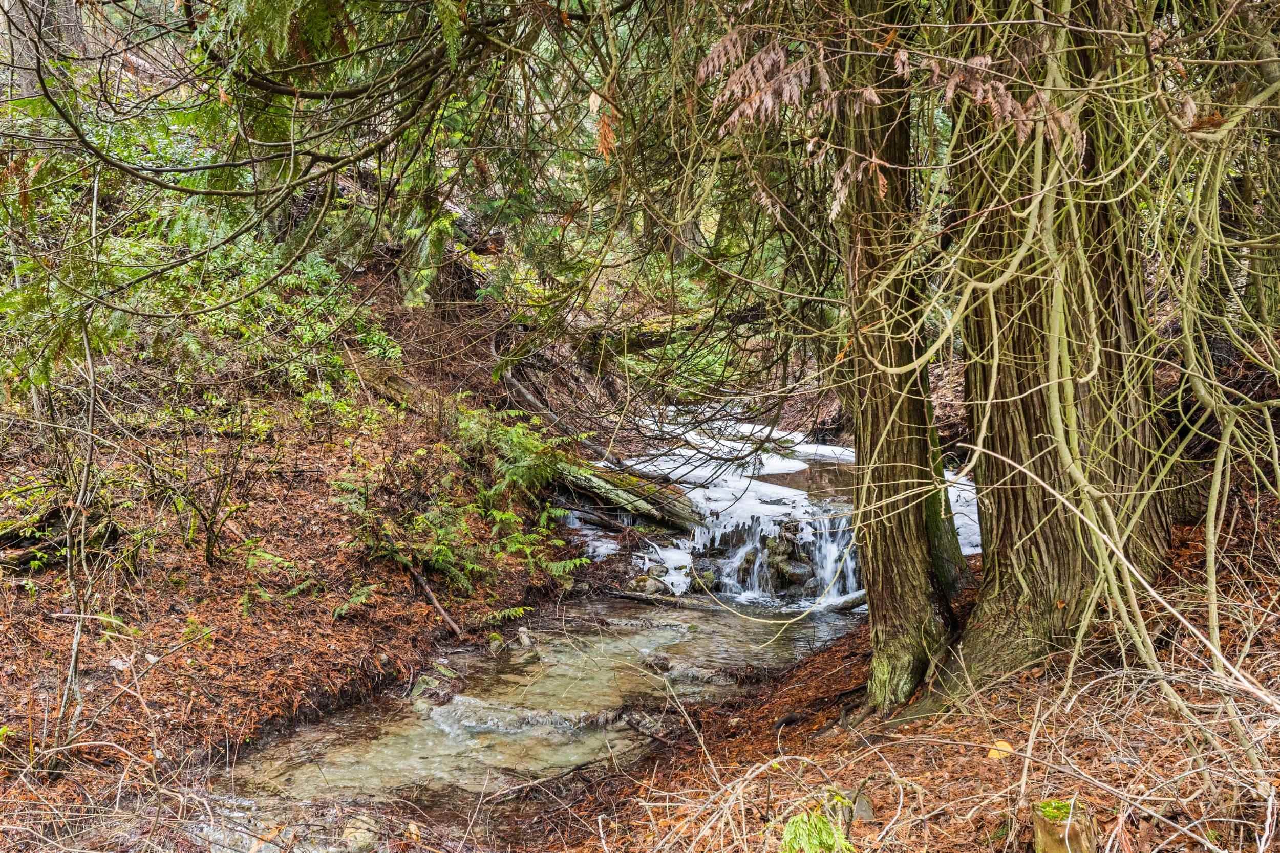 2380 Kettle River Road Kettle Falls, WA 99141 - Photo 35 of 41