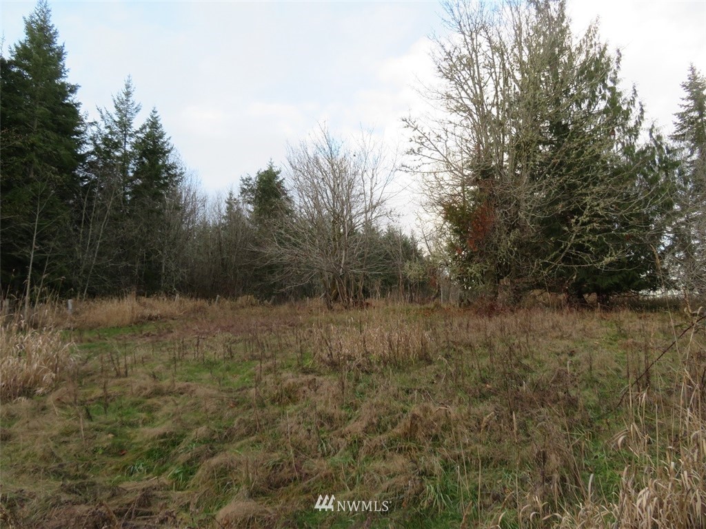 -off Off Cousins Road Chehalis, WA 98532 - Photo 14 of 30