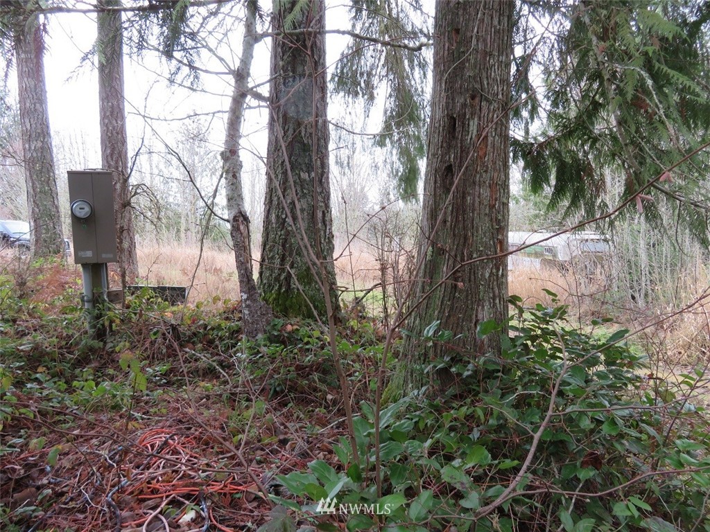 -off Off Cousins Road Chehalis, WA 98532 - Photo 23 of 30