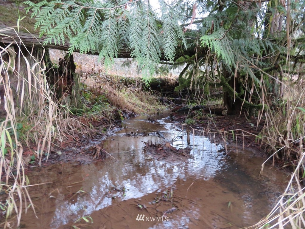 -off Off Cousins Road Chehalis, WA 98532 - Photo 4 of 30