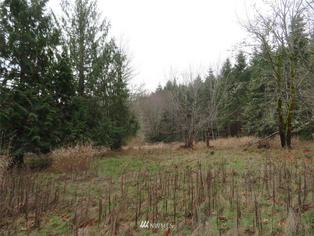-off Off Cousins Road Chehalis, WA 98532 - Photo 5 of 30
