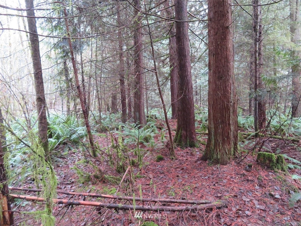 -off Off Cousins Road Chehalis, WA 98532 - Photo 7 of 30