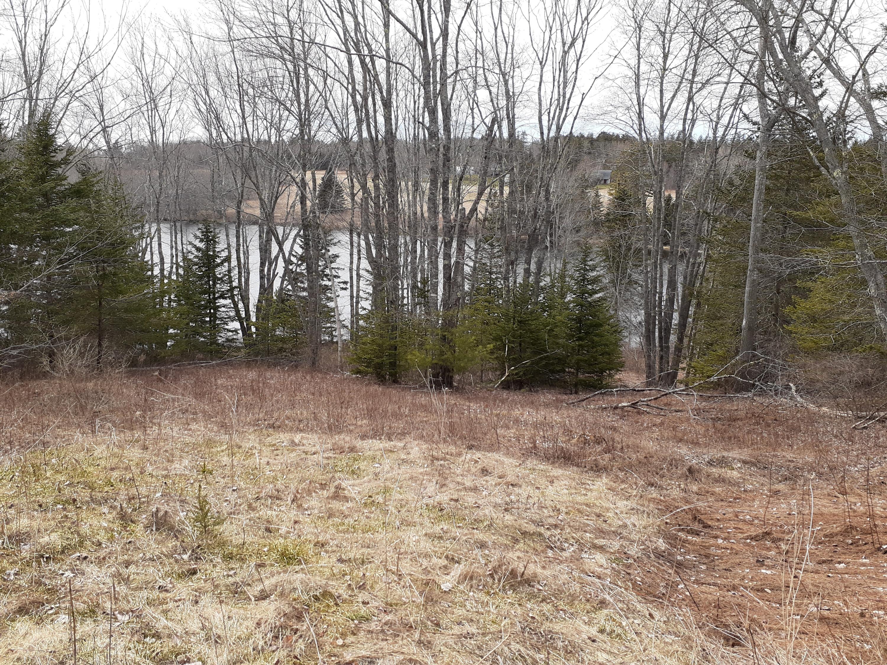 Lot 12 Raccoon Road Cushing, ME 04563 - Photo 7 of 8 20200420_150539 (4)