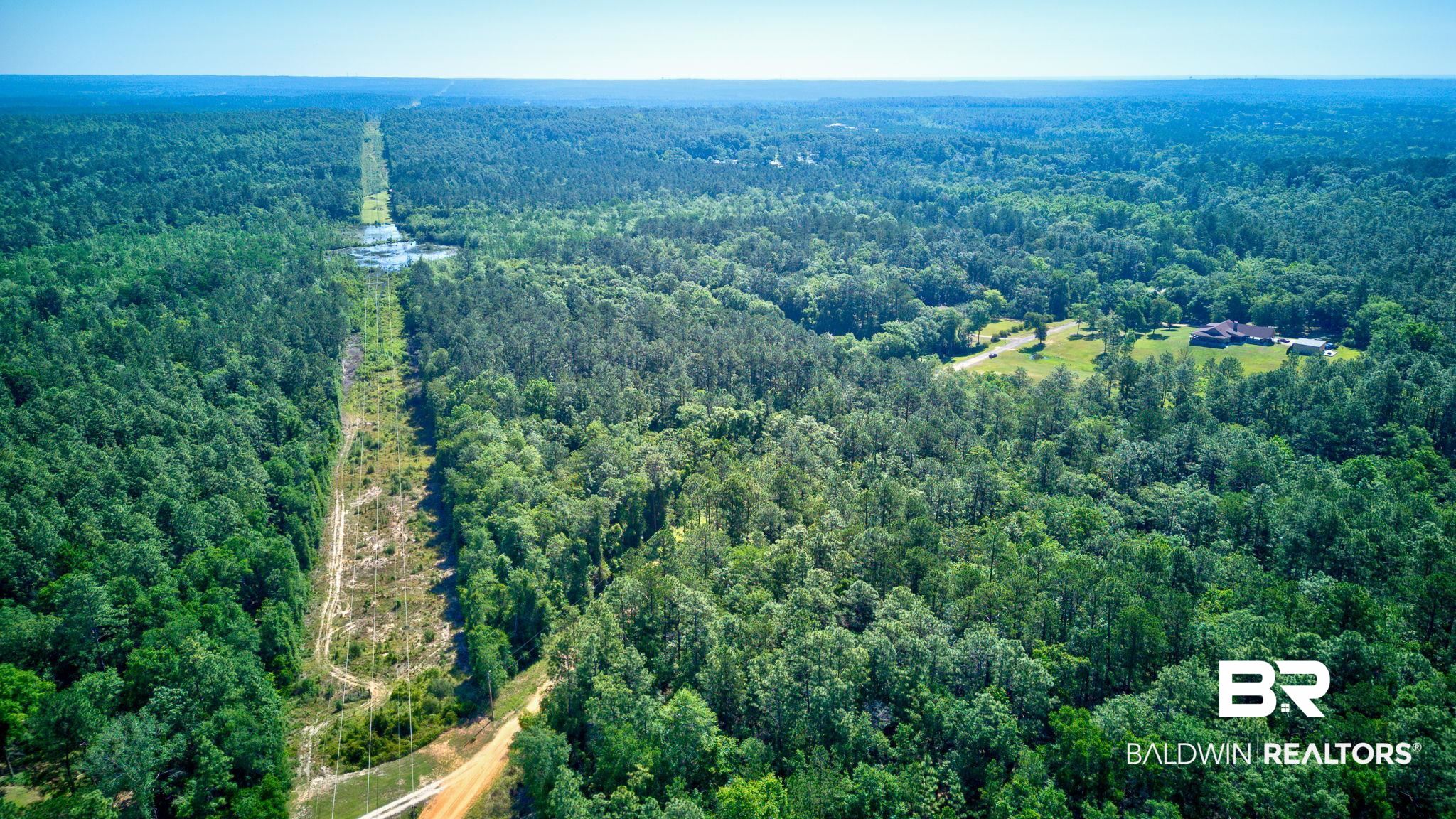 0 Evans Road Chunchula, AL 36521 - Photo 4 of 19