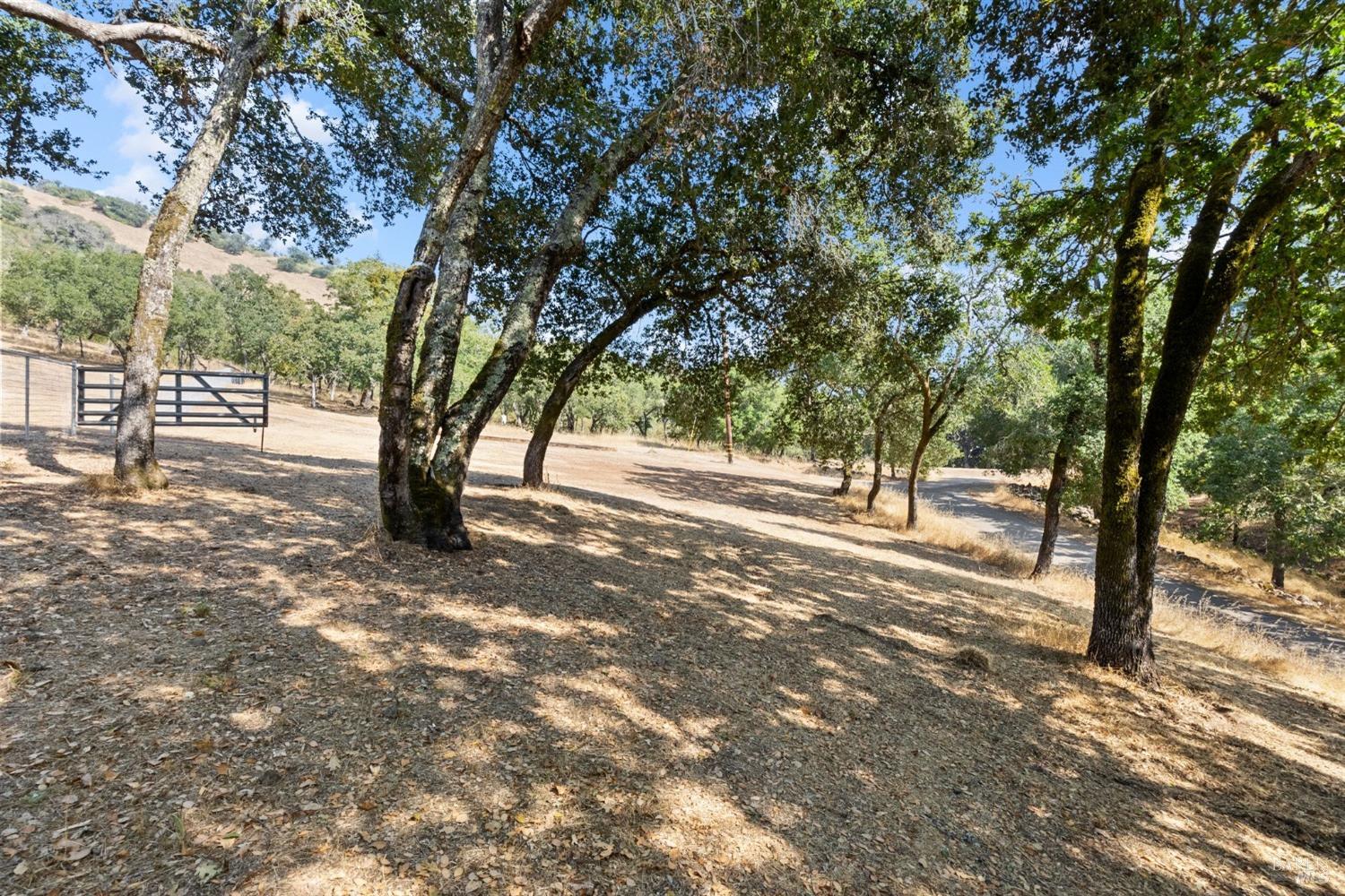1860 Mark West Springs Road Santa Rosa, CA 95404 - Photo 11 of 38 a view of backyard with tree