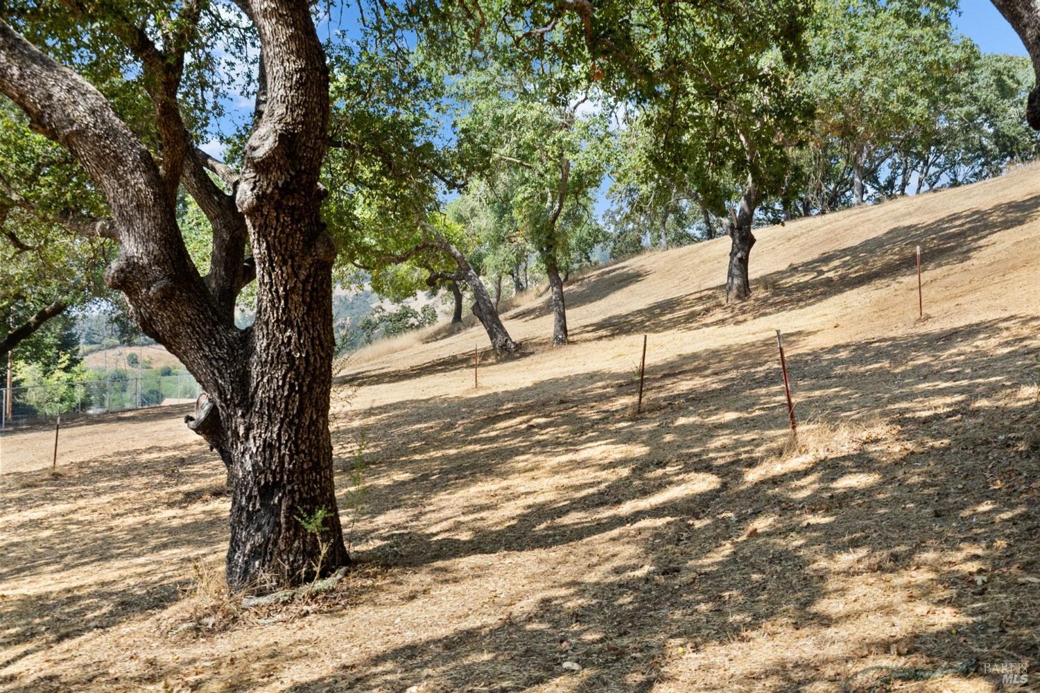 1860 Mark West Springs Road Santa Rosa, CA 95404 - Photo 16 of 38 a view of a yard with a tree