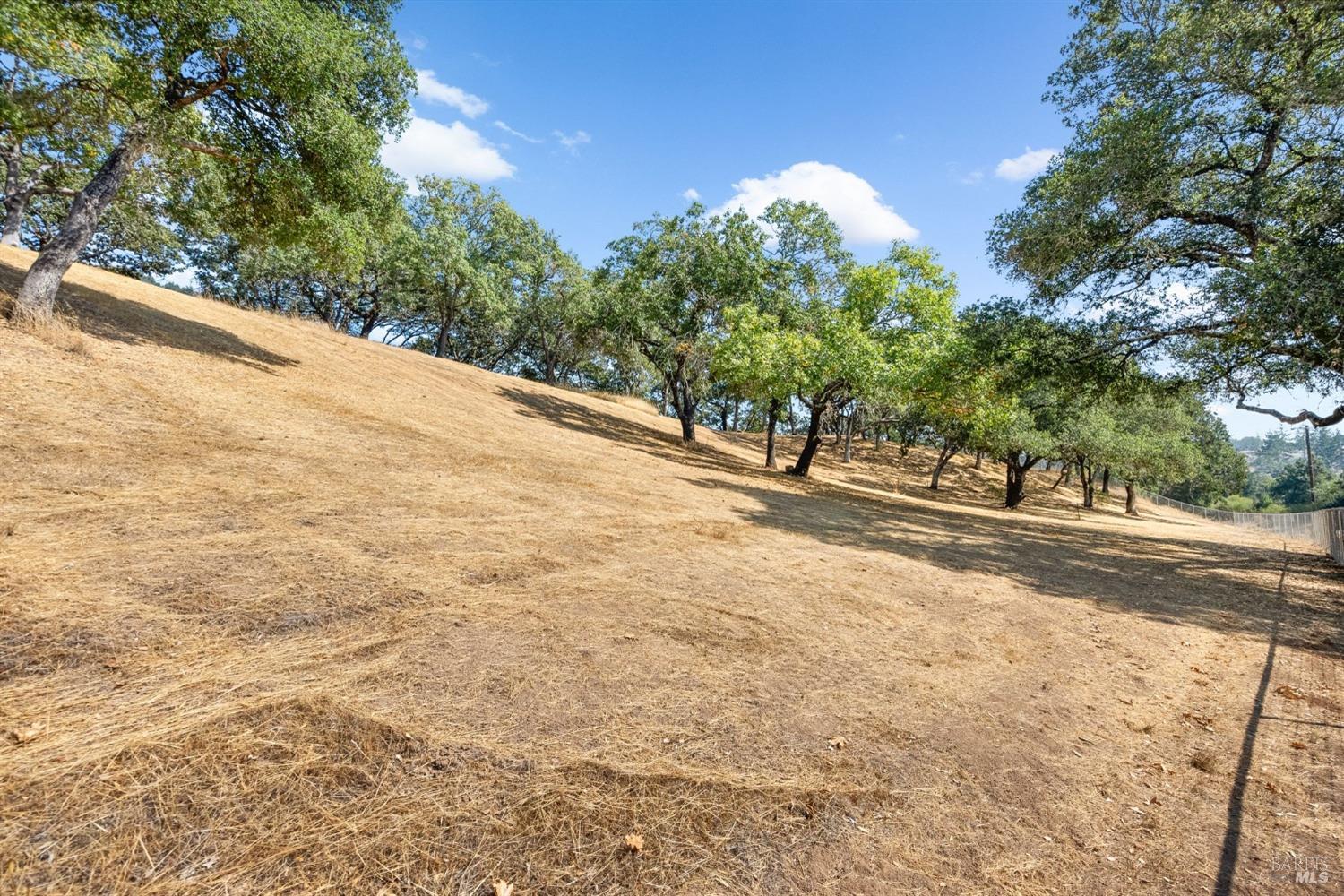 1860 Mark West Springs Road Santa Rosa, CA 95404 - Photo 18 of 38 a view of road and trees