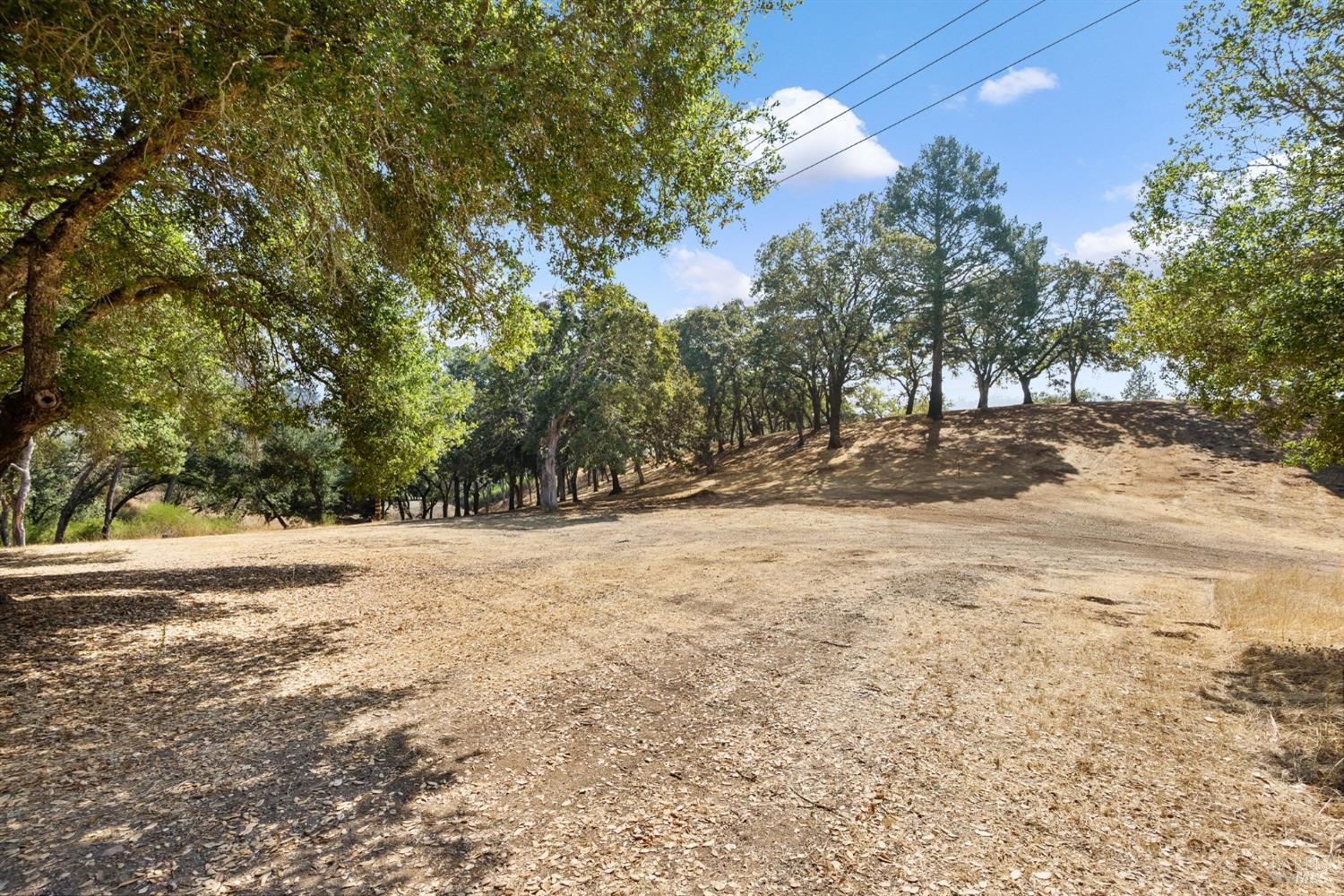 1860 Mark West Springs Road Santa Rosa, CA 95404 - Photo 24 of 38 a view of dirt yard with a trees