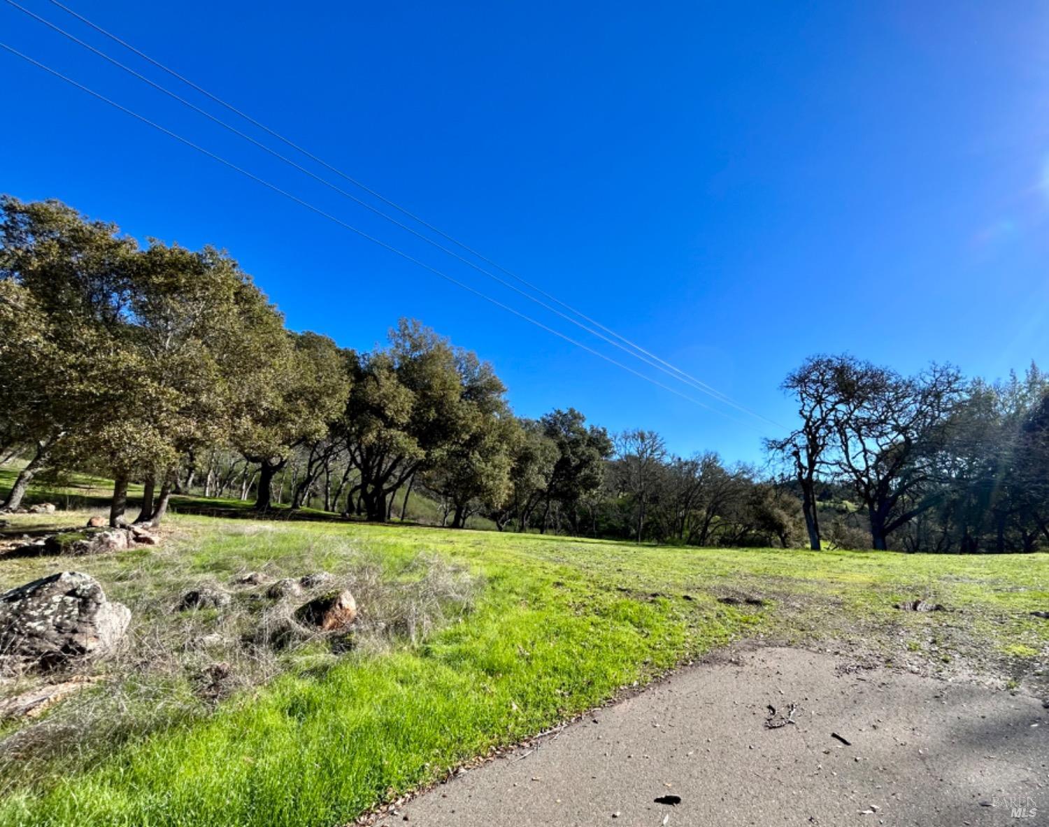 1860 Mark West Springs Road Santa Rosa, CA 95404 - Photo 4 of 38 a view of a field with a tree in the background